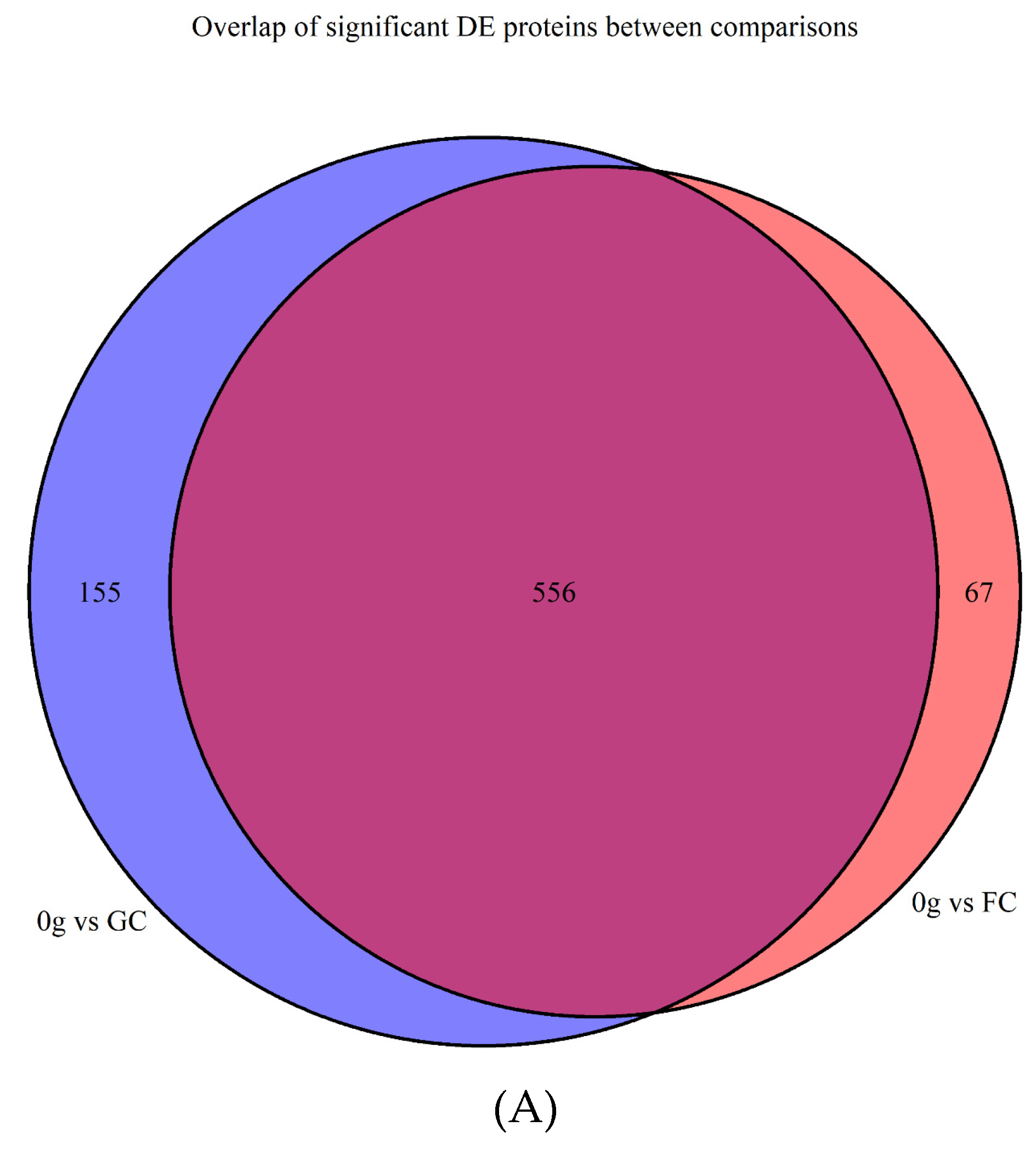 Molecular repertoire of Deinococcus radiodurans after 1 year of