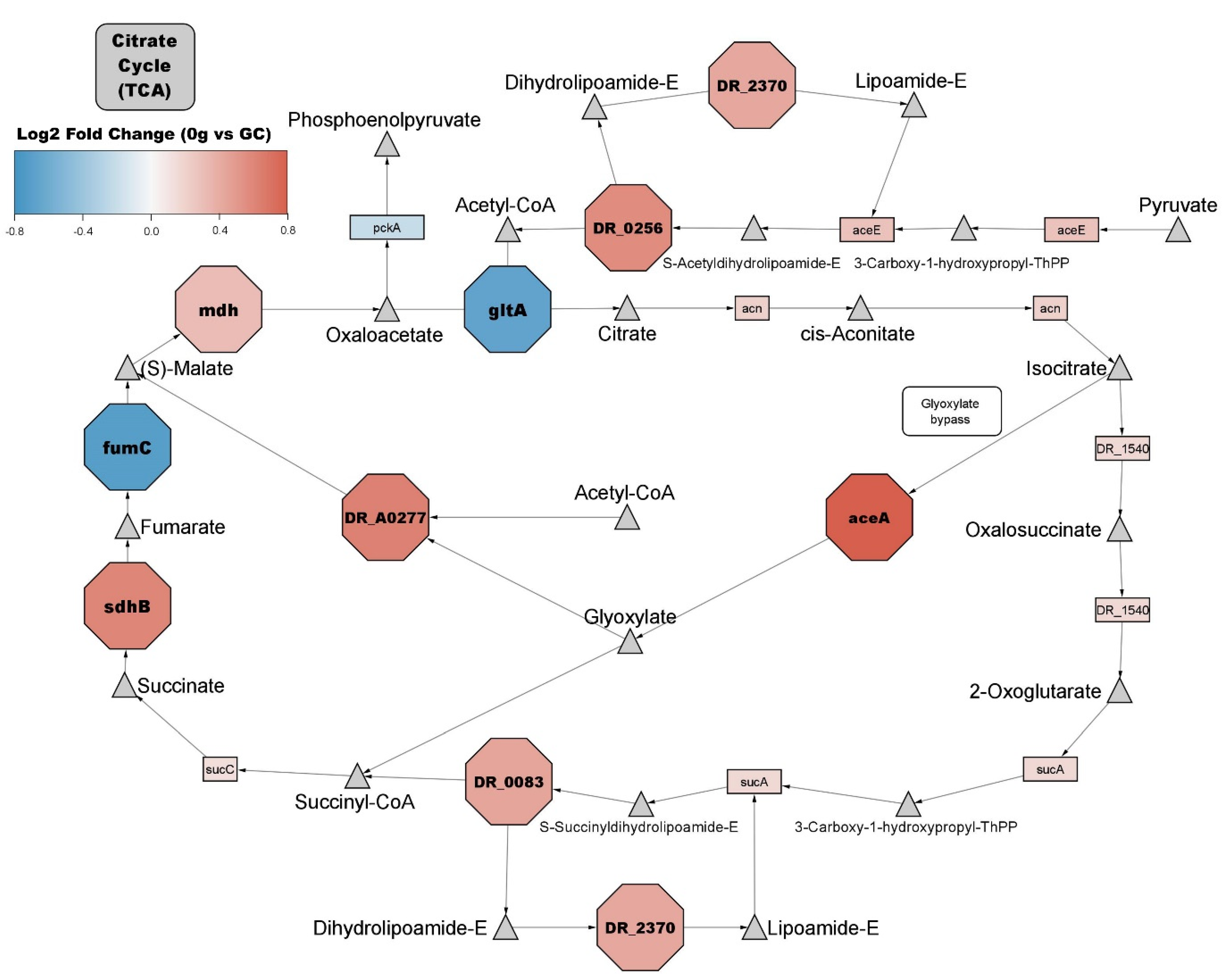 The RecA proteins of Deinococcus radiodurans and Escherichia coli