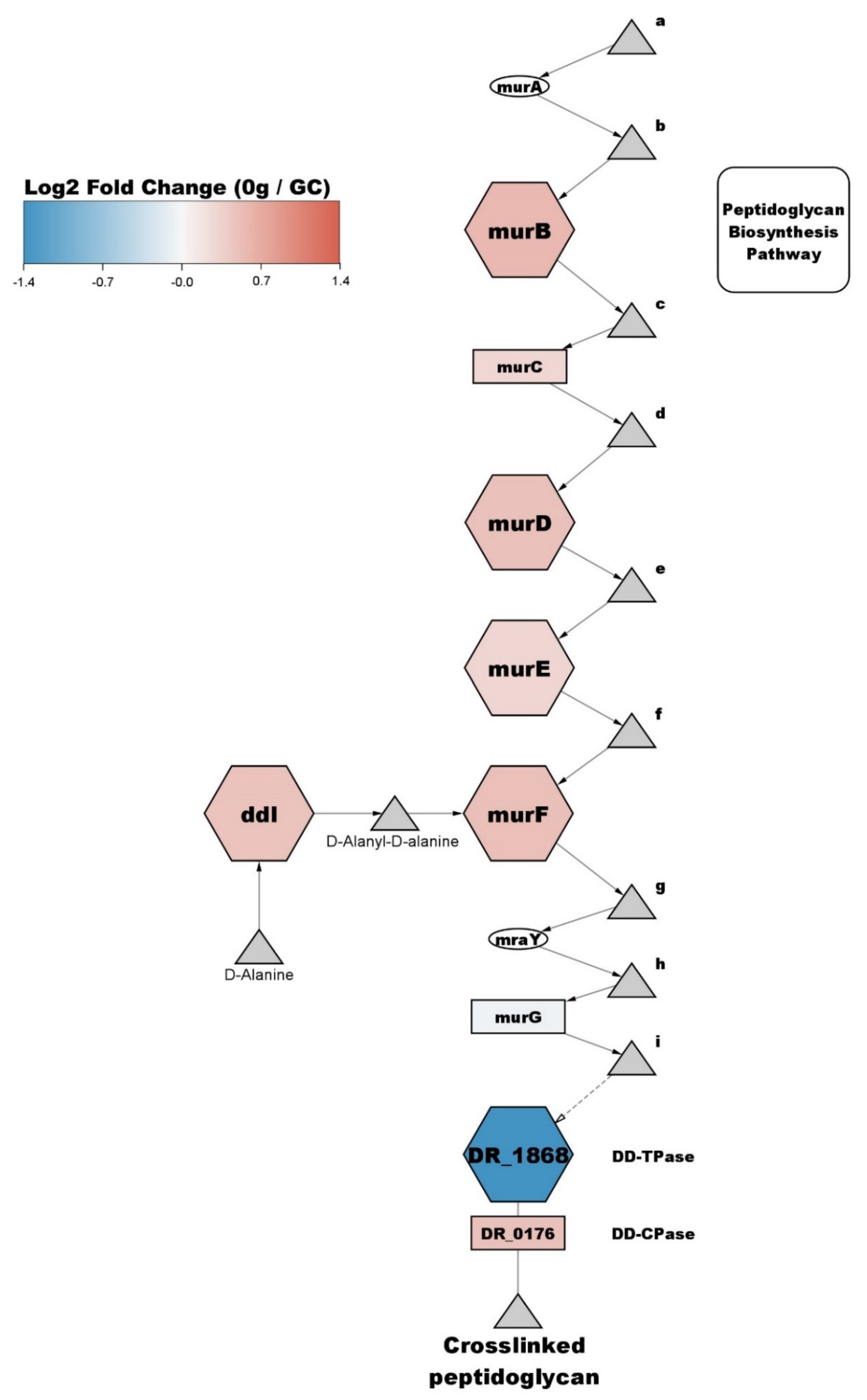 Life 12 00023 g007 Life 12 00023 g007