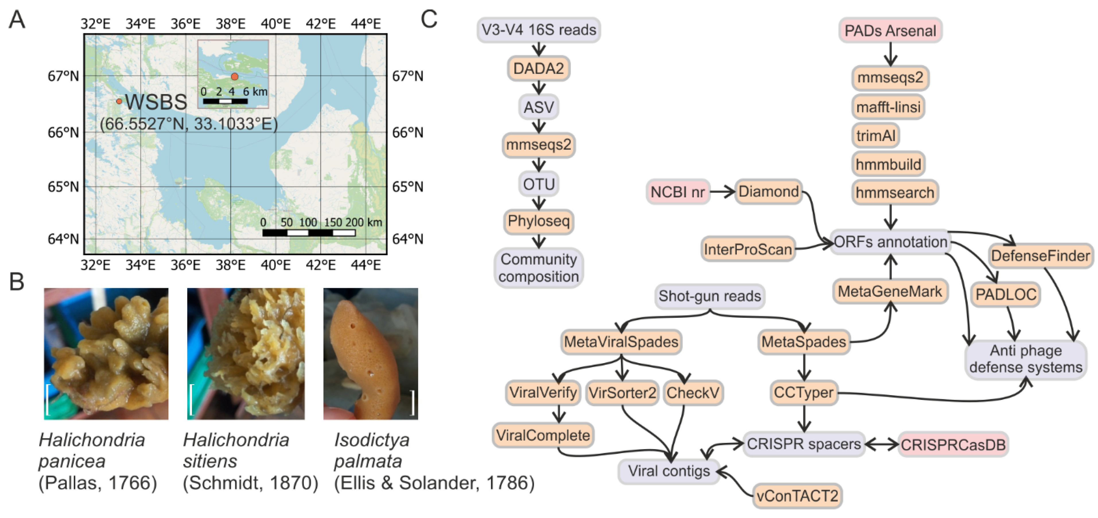 Life 12 00025 g001 Life 12 00025 g001
