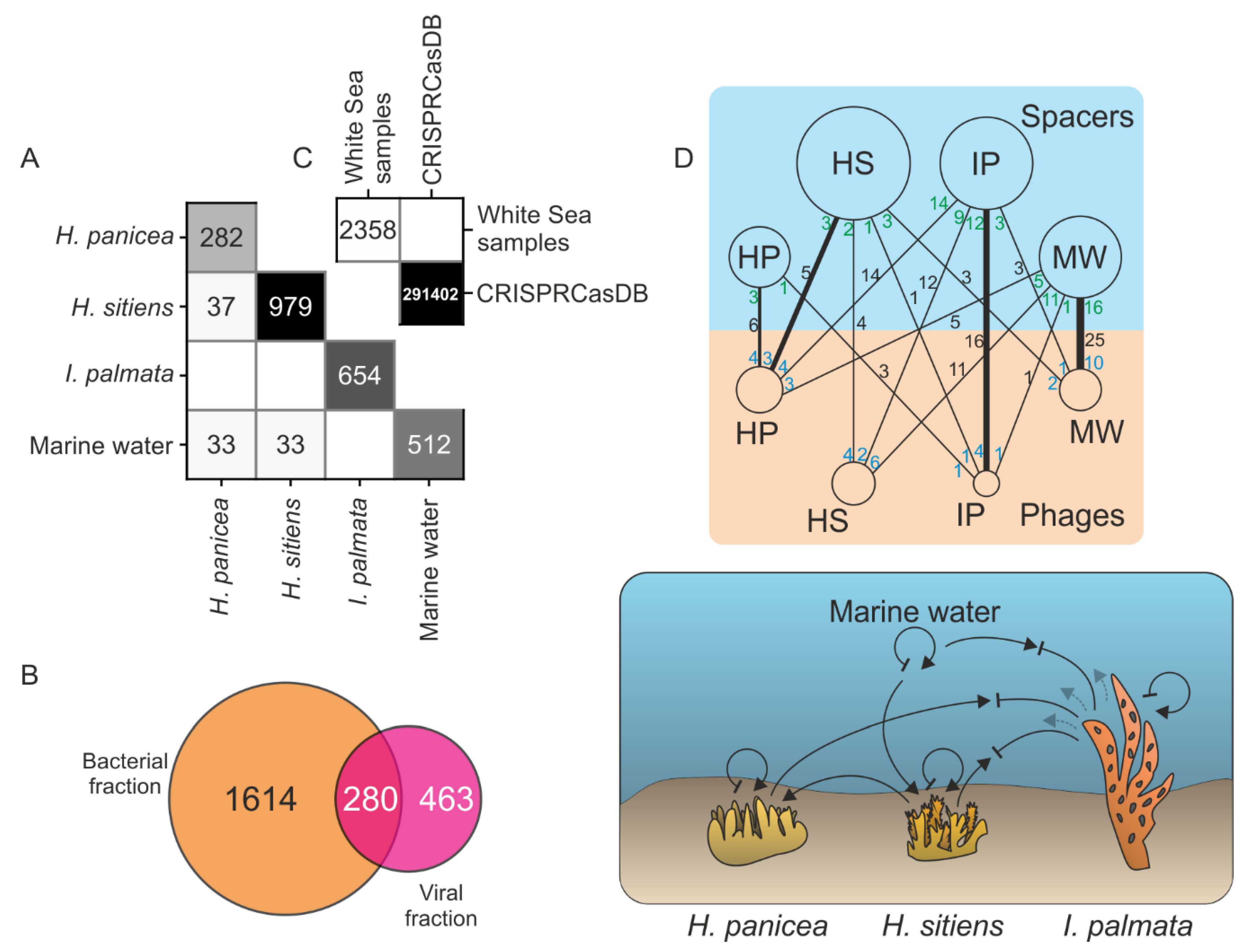 Life 12 00025 g005 Life 12 00025 g005