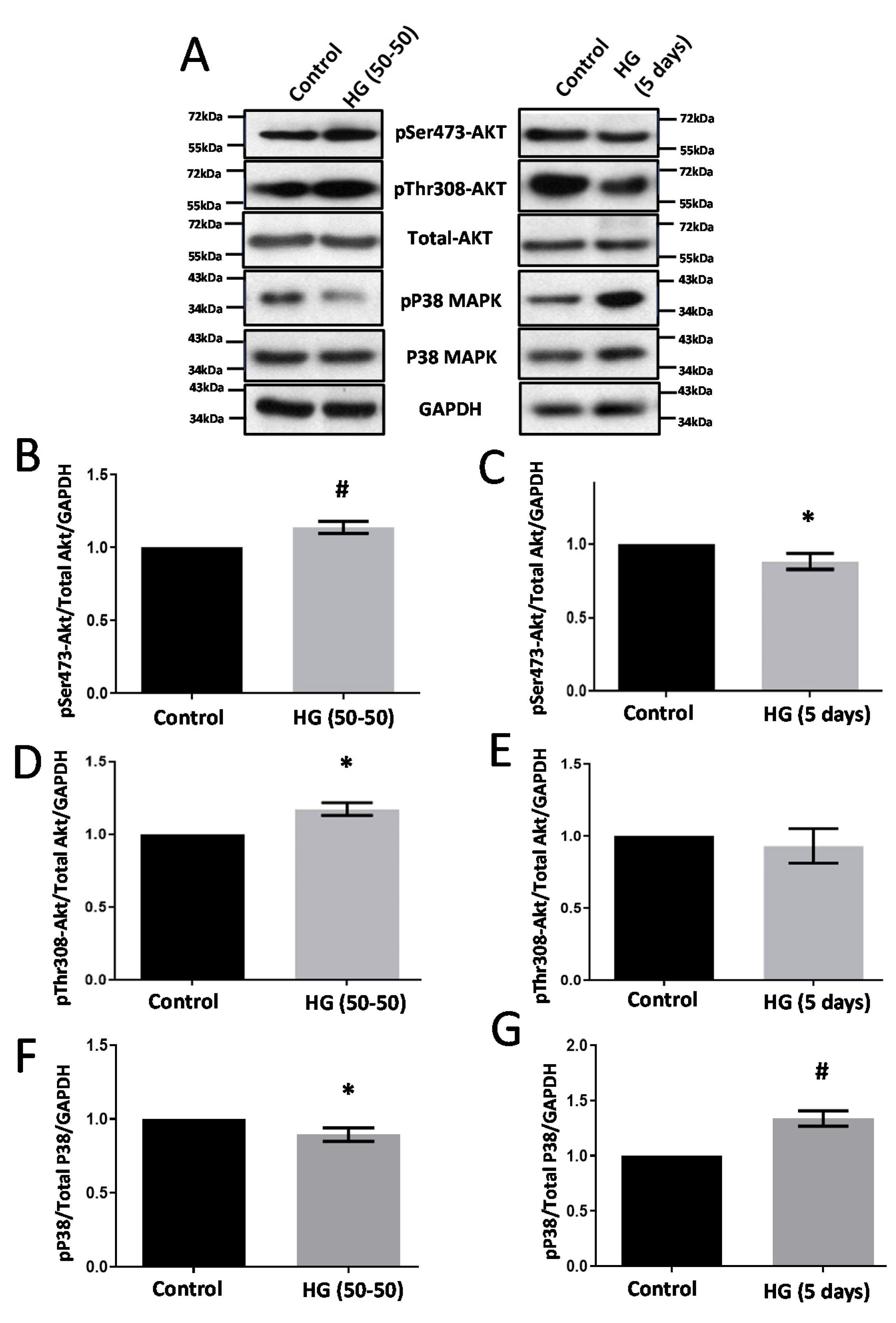 Life 12 00033 g001 Life 12 00033 g001