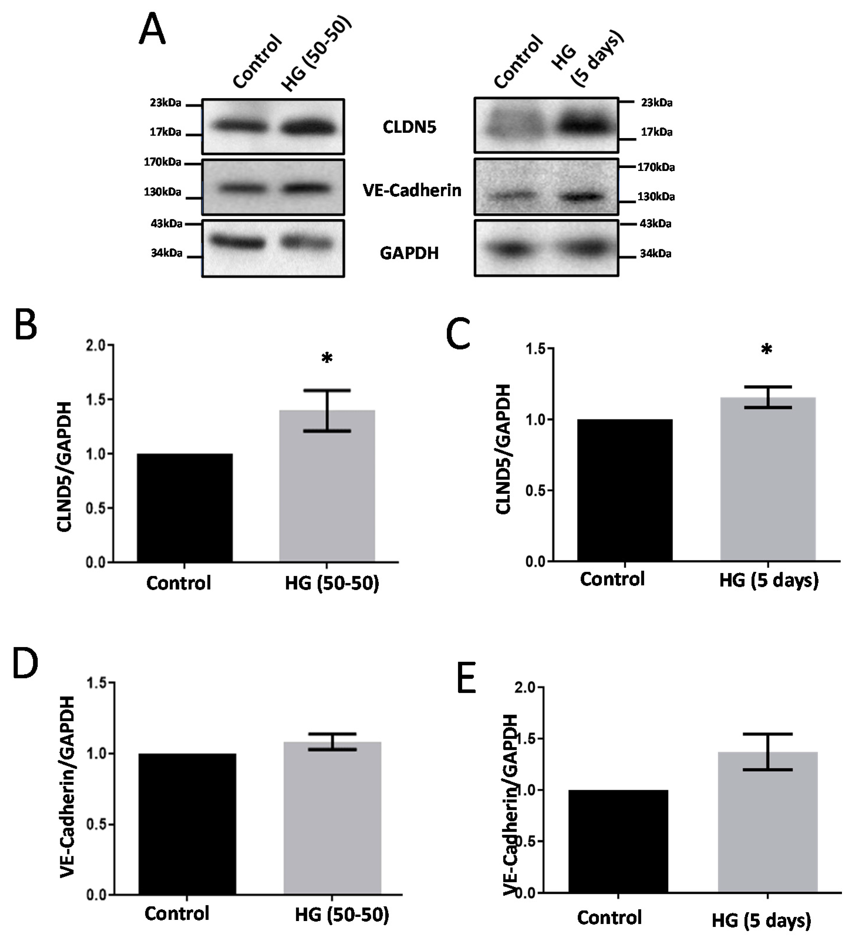 Life 12 00033 g002 Life 12 00033 g002