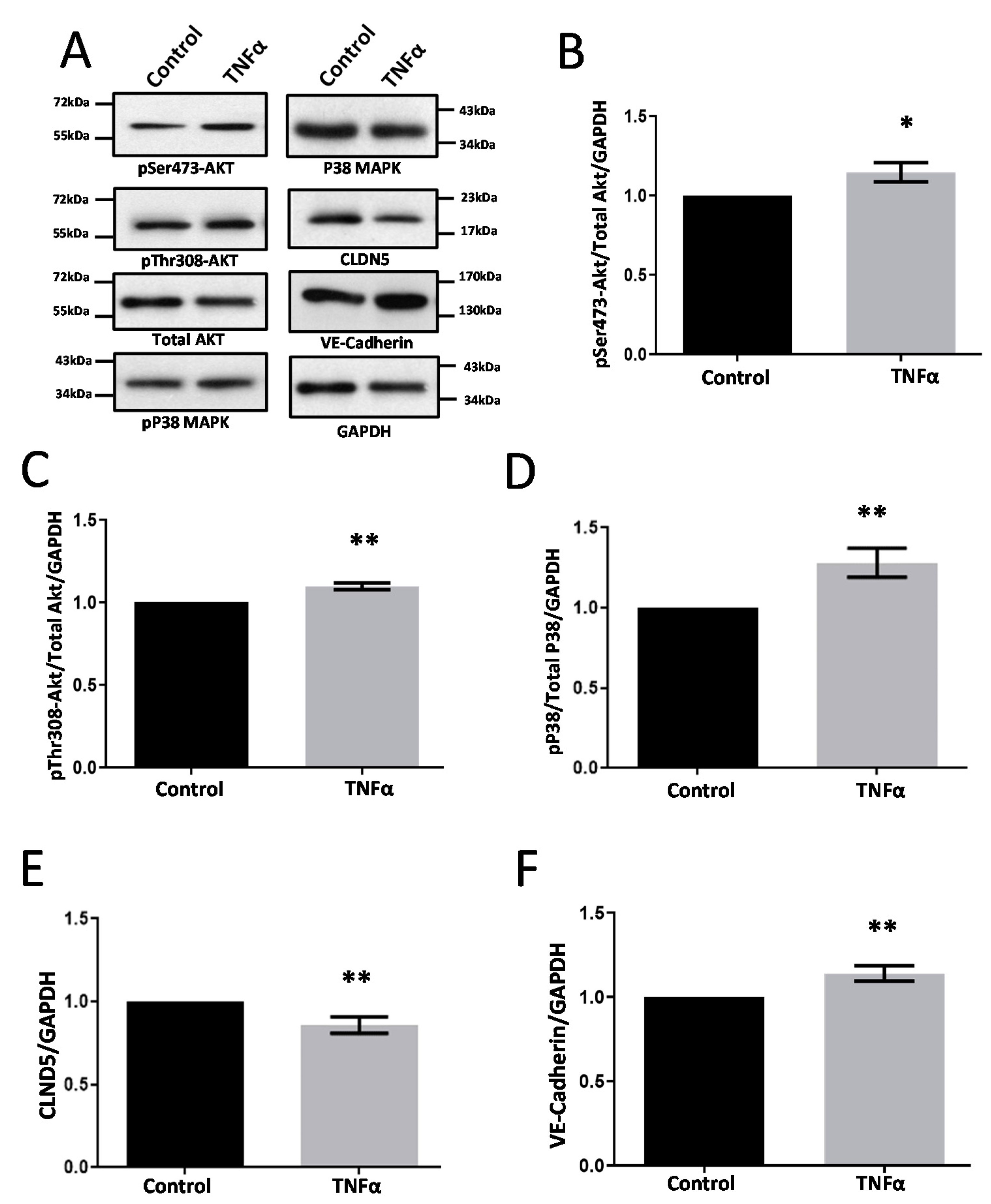 Life 12 00033 g003 Life 12 00033 g003