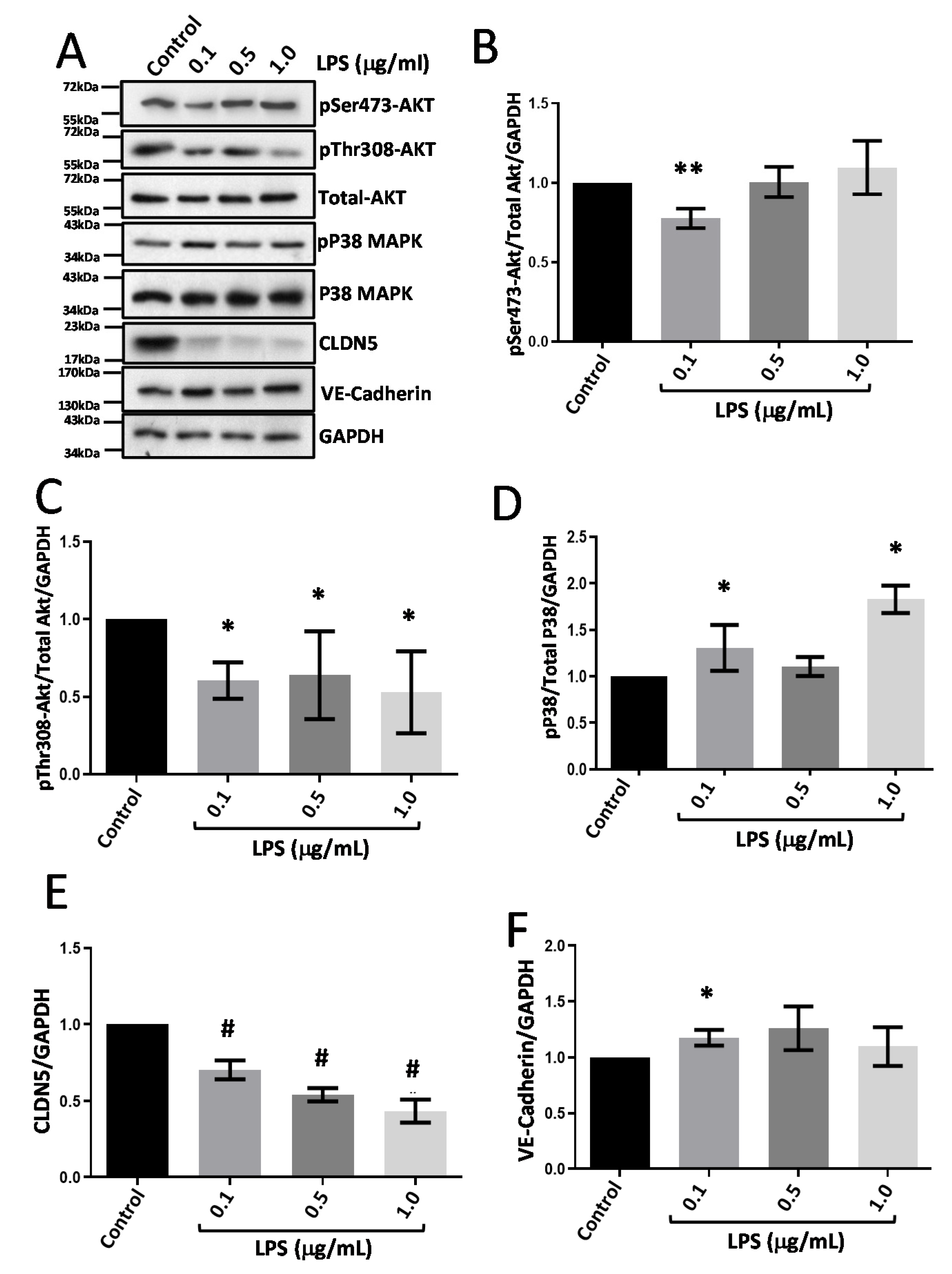 Life 12 00033 g005 Life 12 00033 g005