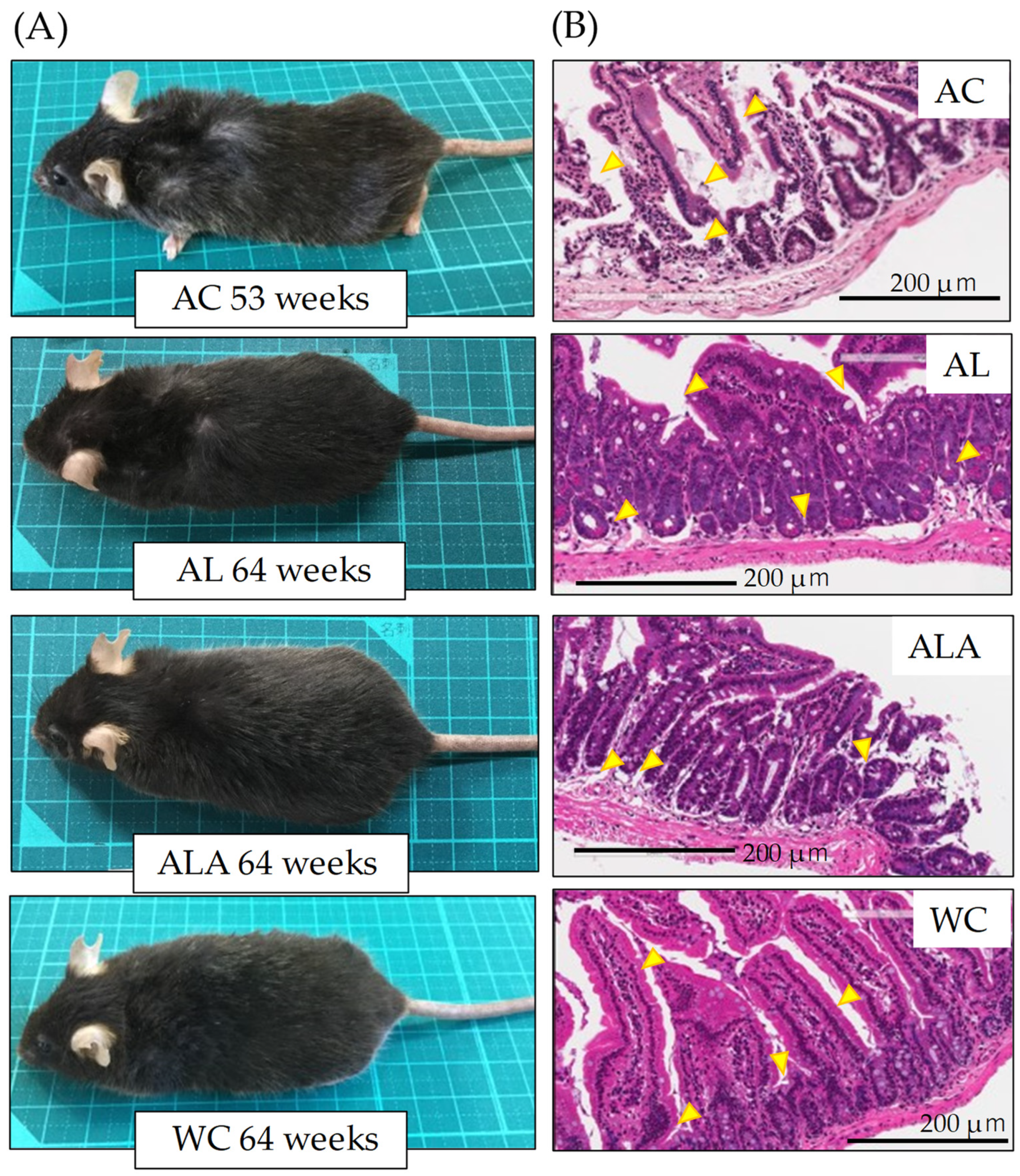 Life 12 00034 g003 Life 12 00034 g003