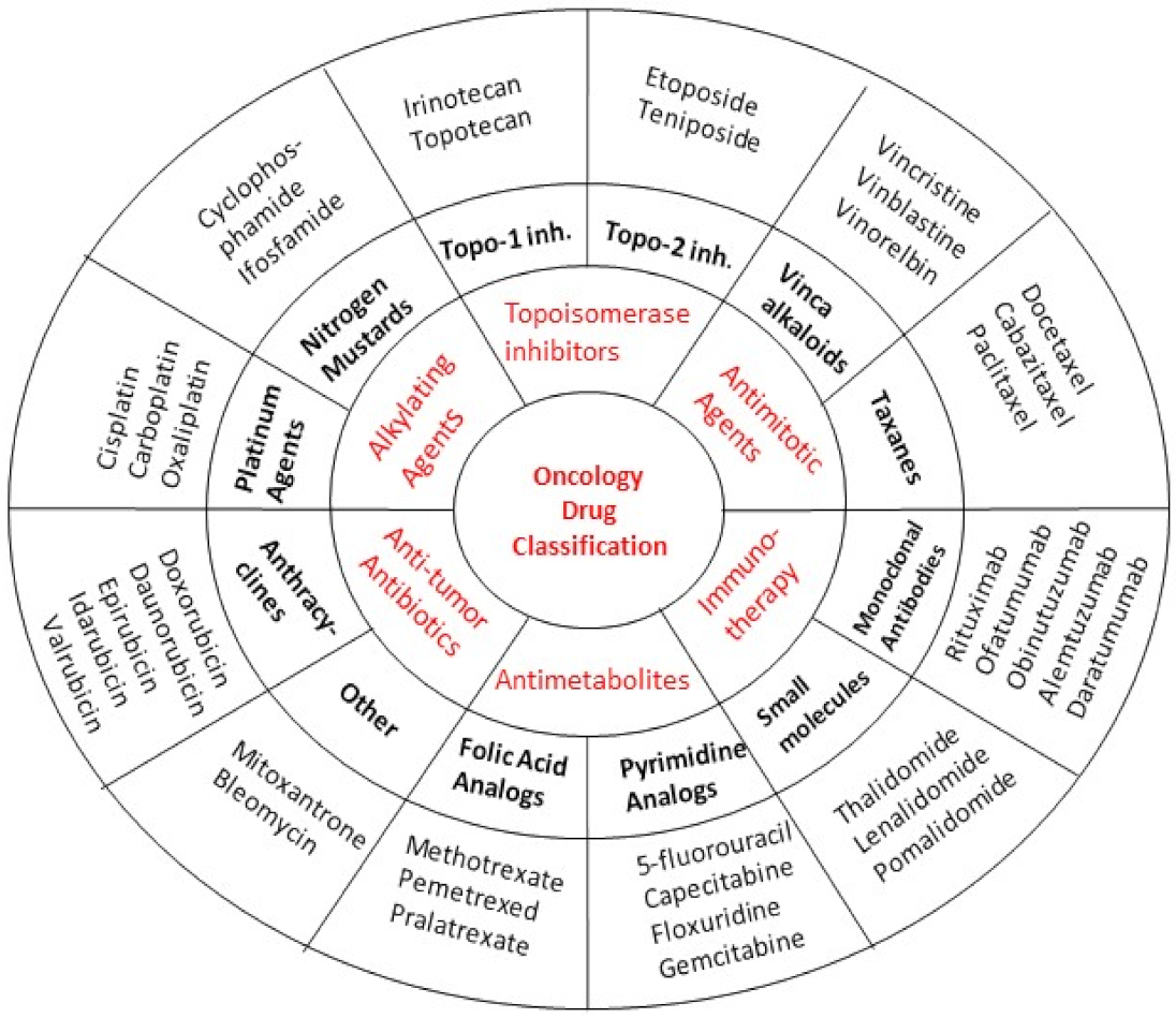 Life 12 00048 g001 Life 12 00048 g001