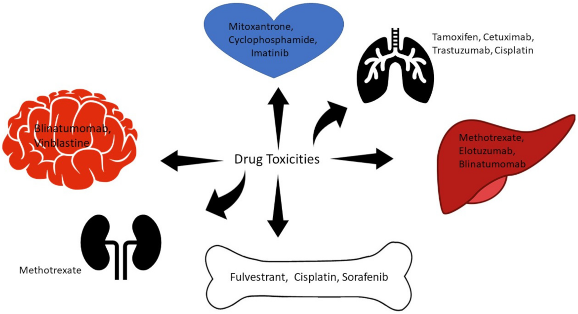 Life 12 00048 g003 Life 12 00048 g003