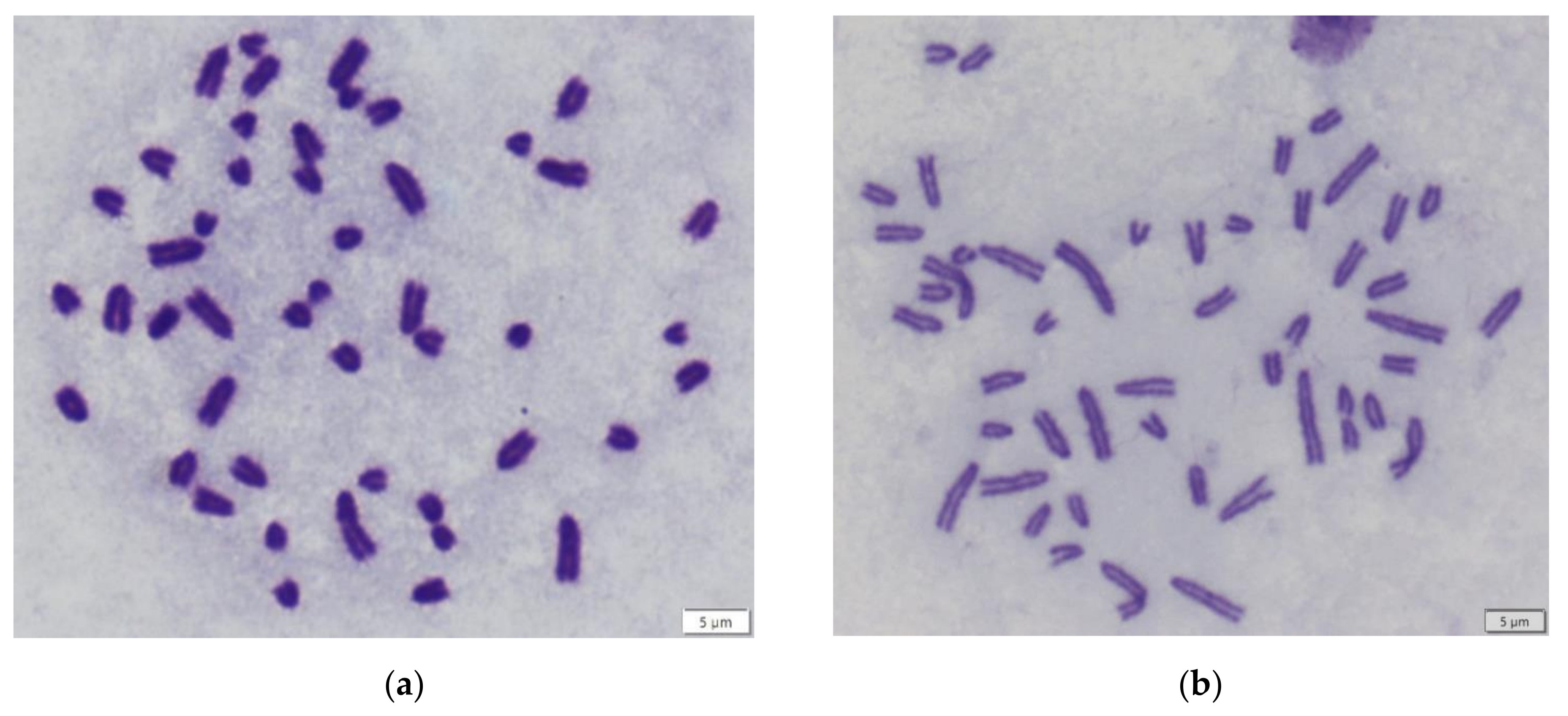 Life 12 00050 g001 550