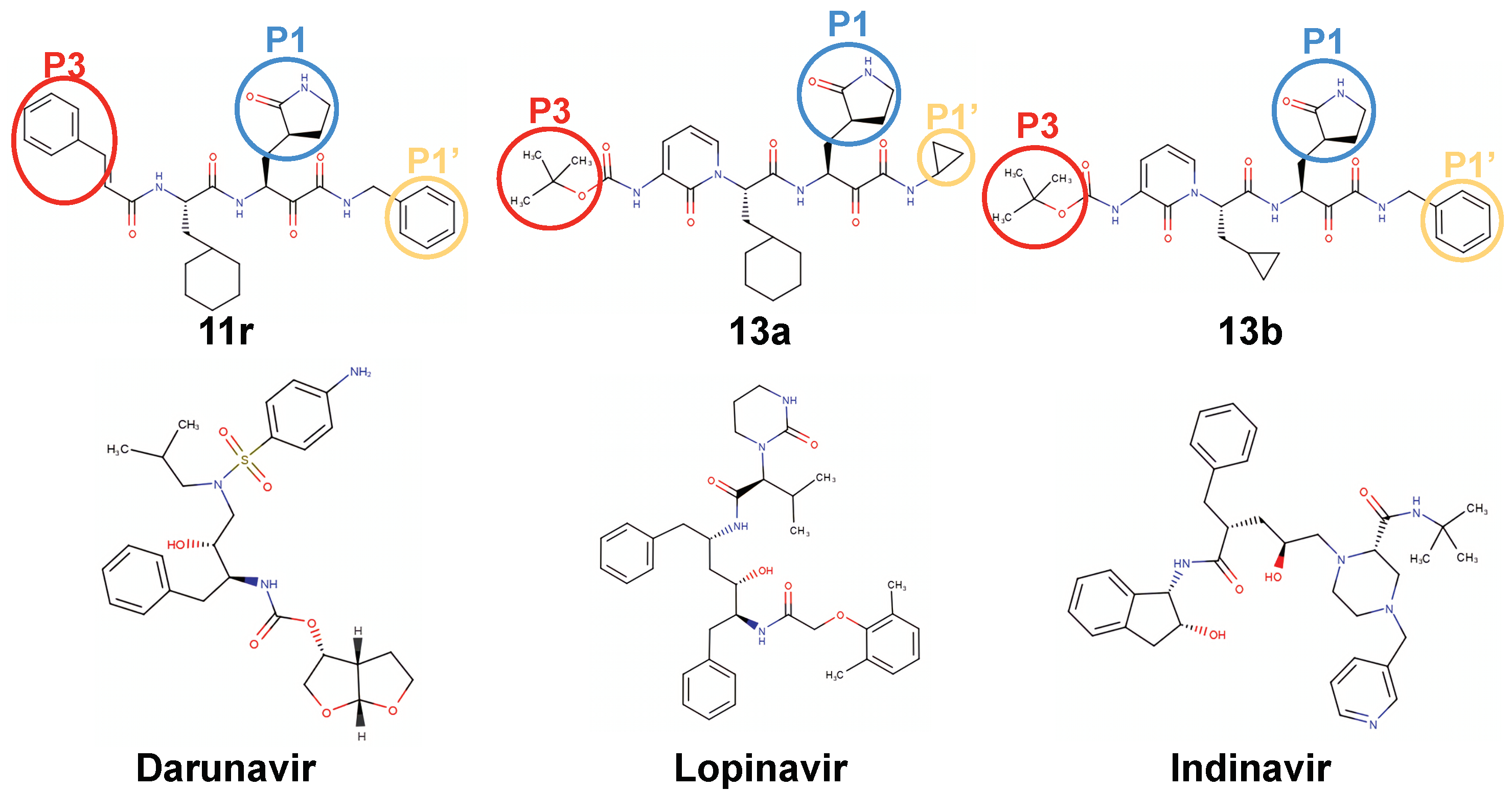 Life 12 00054 g002 550