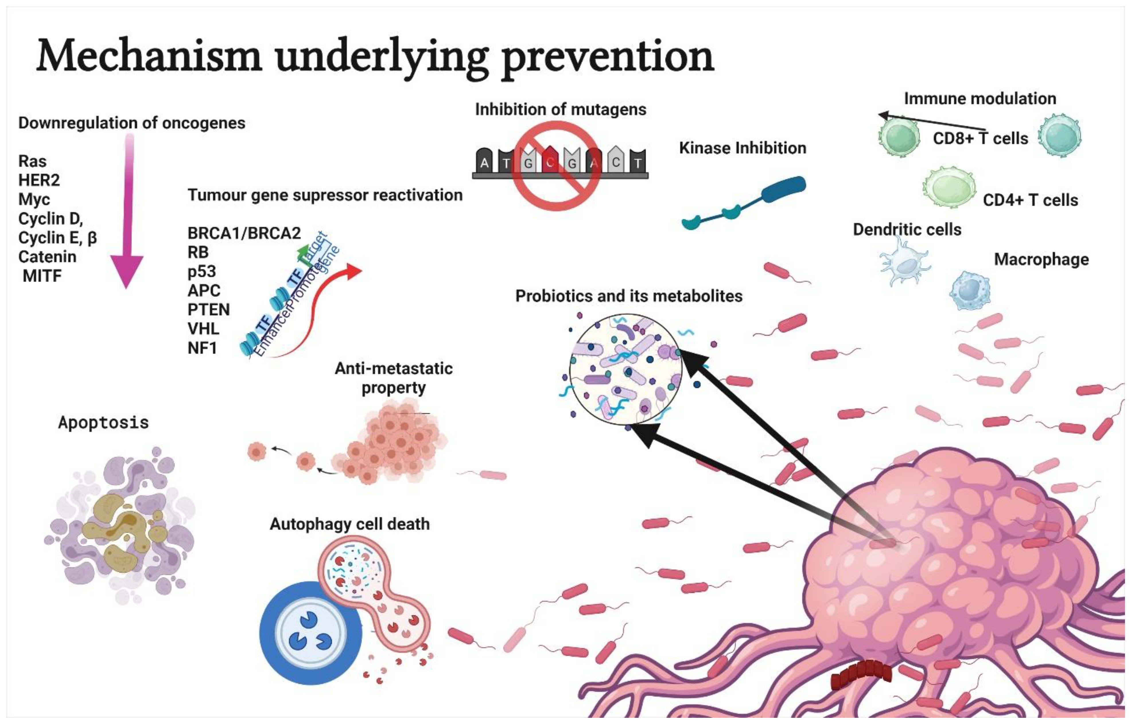 Life 12 00059 g002 550