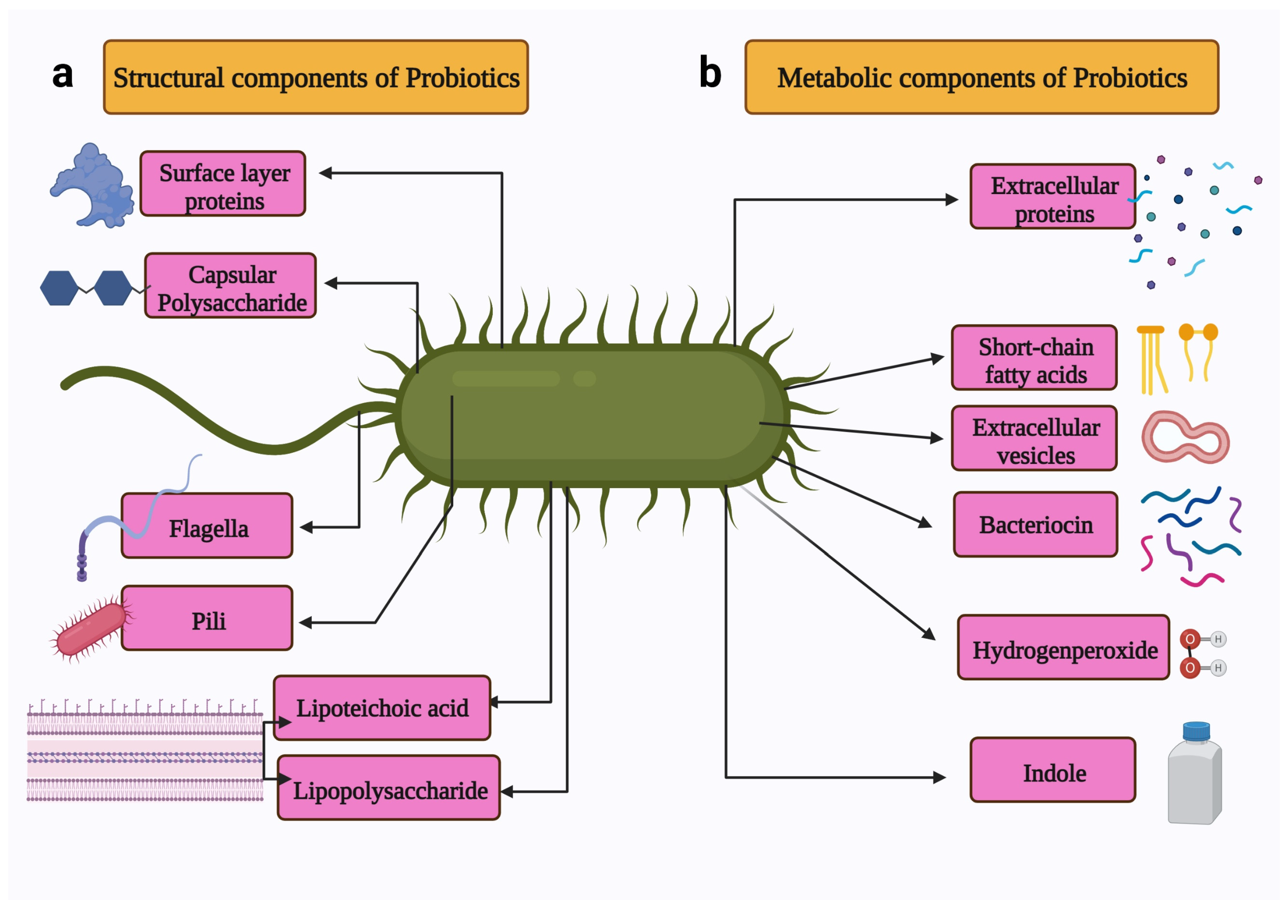 Life 12 00059 g003 550