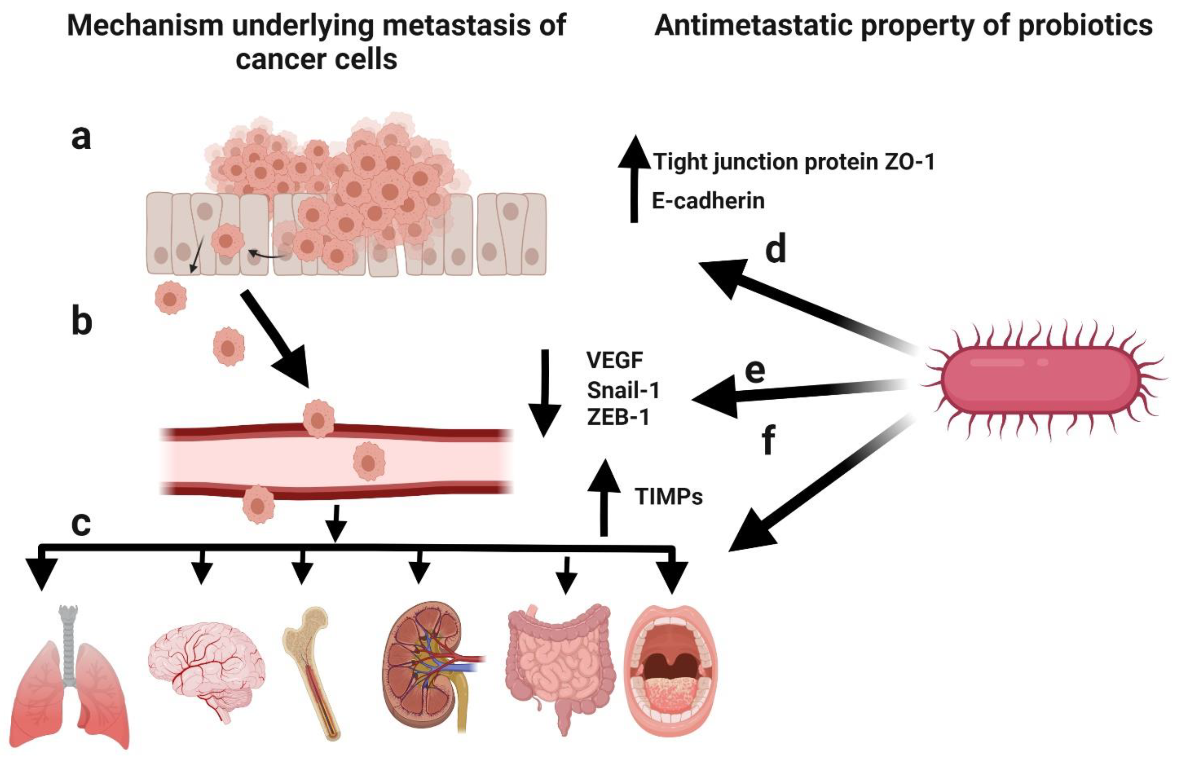 Life 12 00059 g006 550