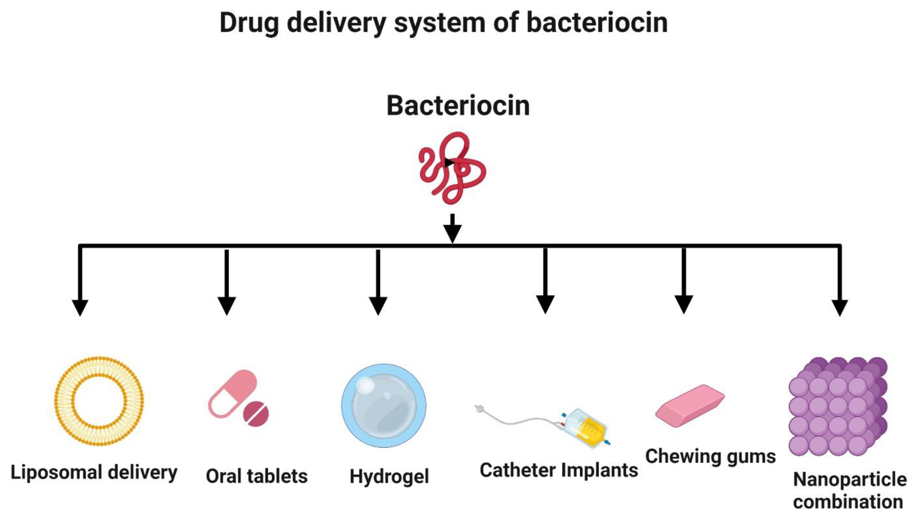 Life 12 00059 g007 550