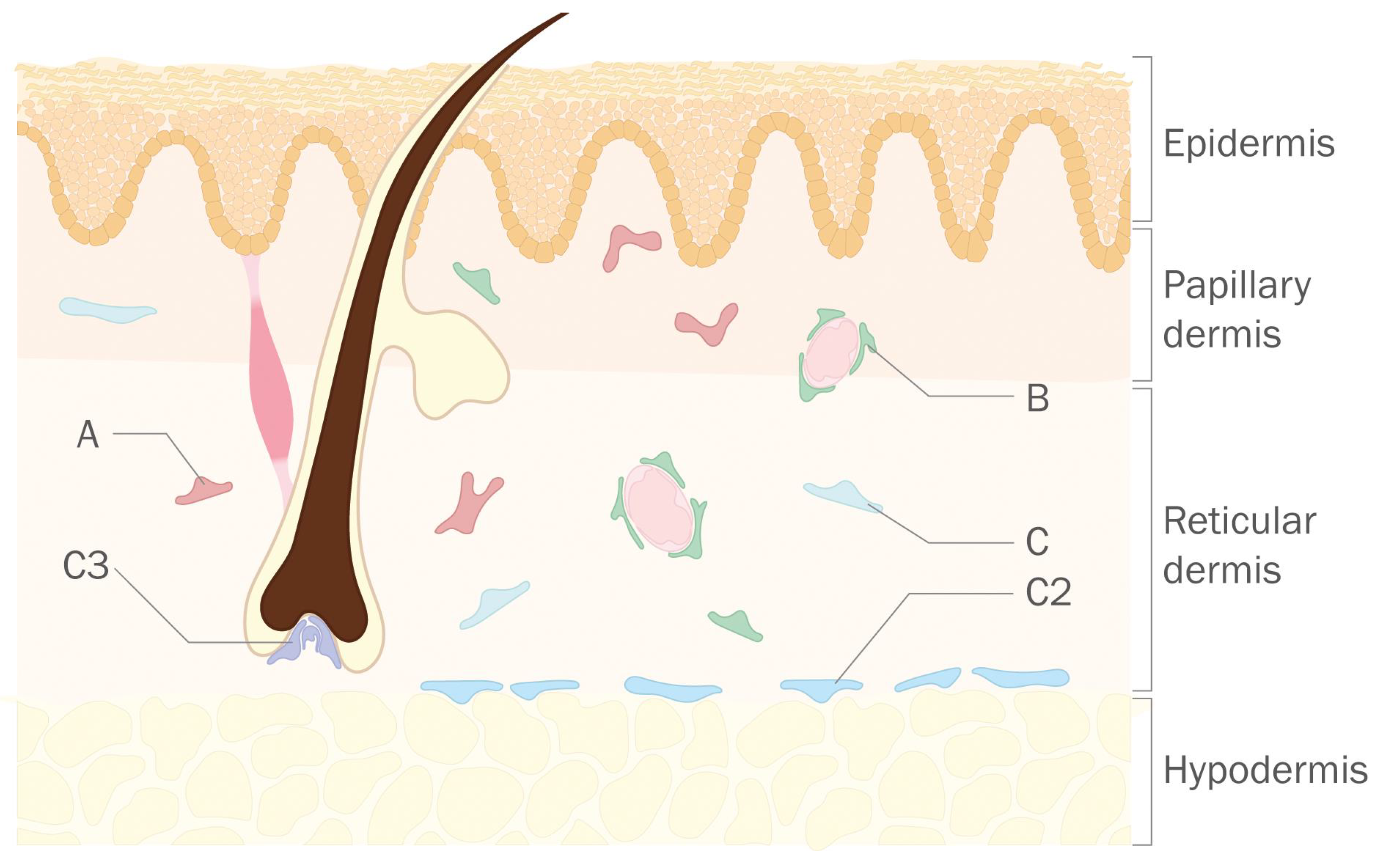 Life 12 00067 g001 550