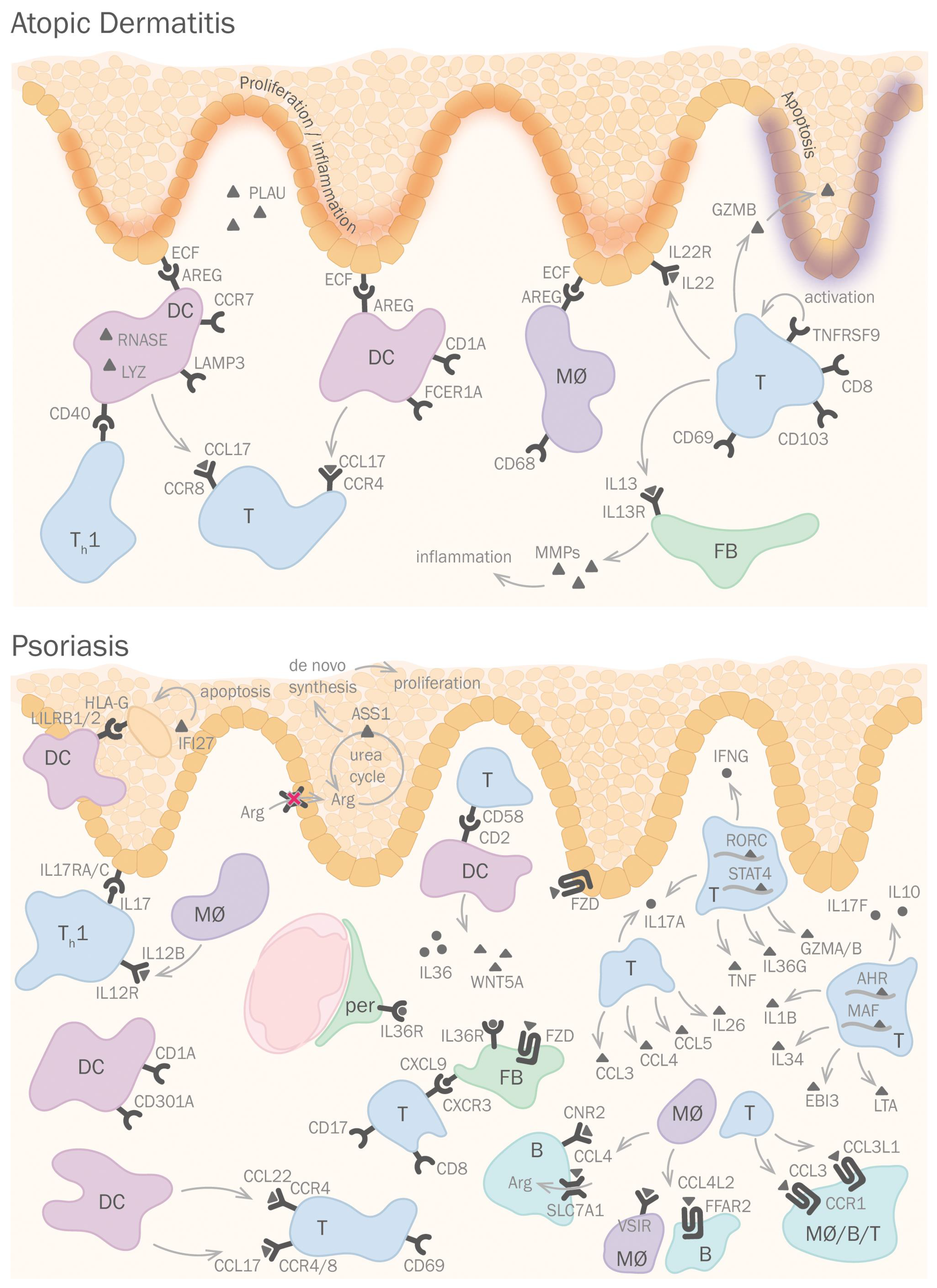 Life 12 00067 g002 550