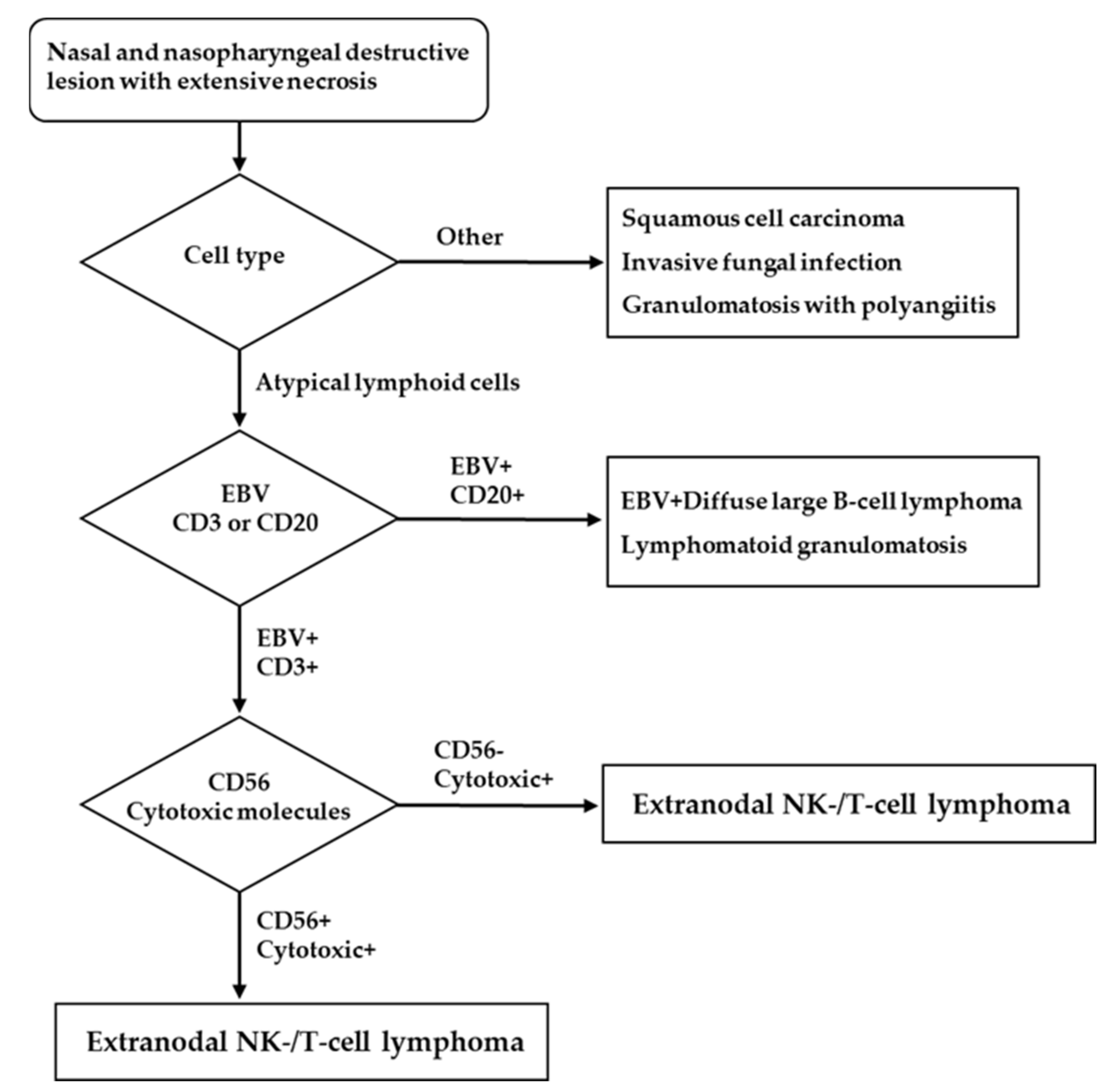 Diagnostic Pathology: Lymph Nodes and Extranodal Lymphomas