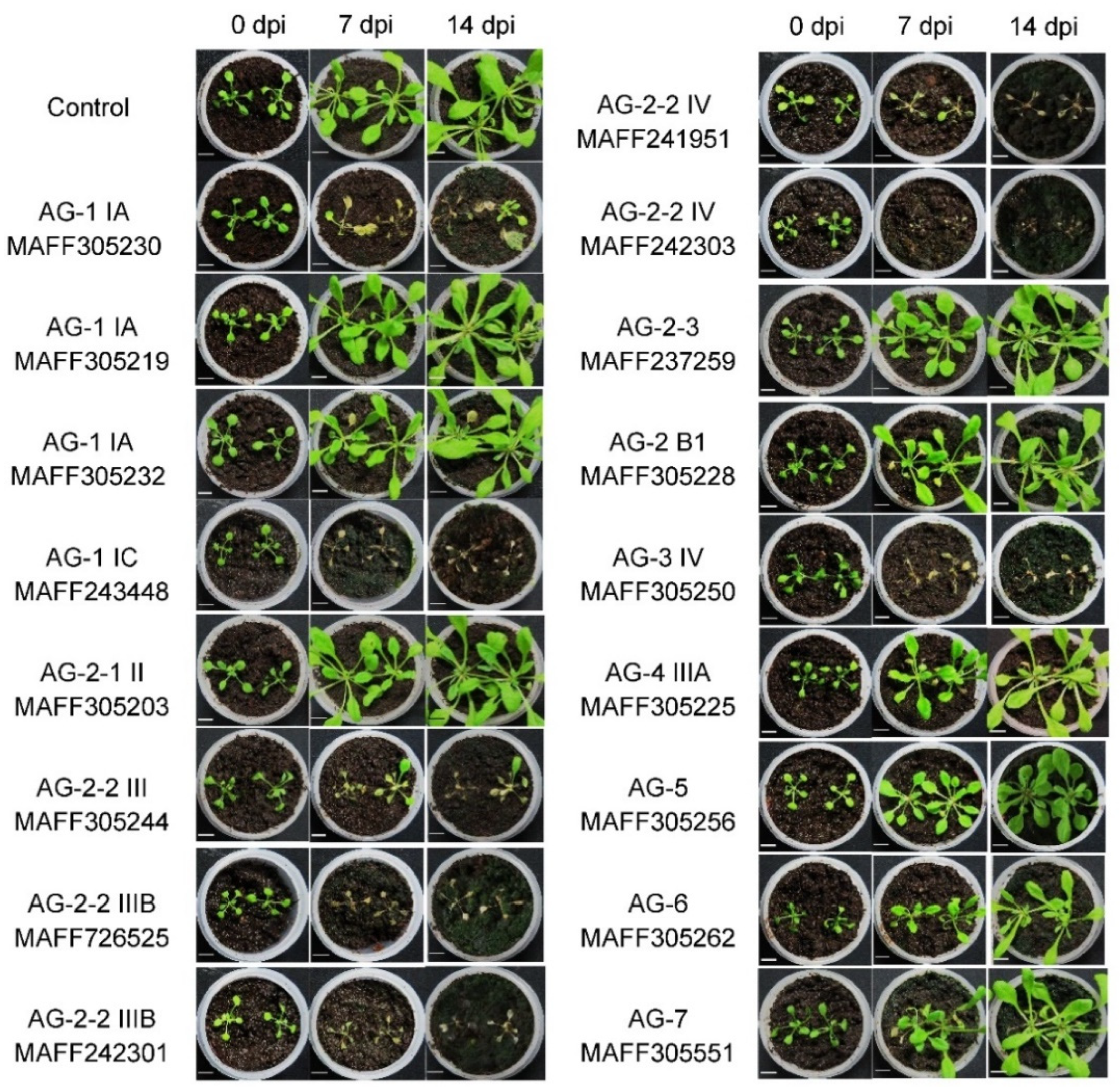 Life 12 00076 g002 550