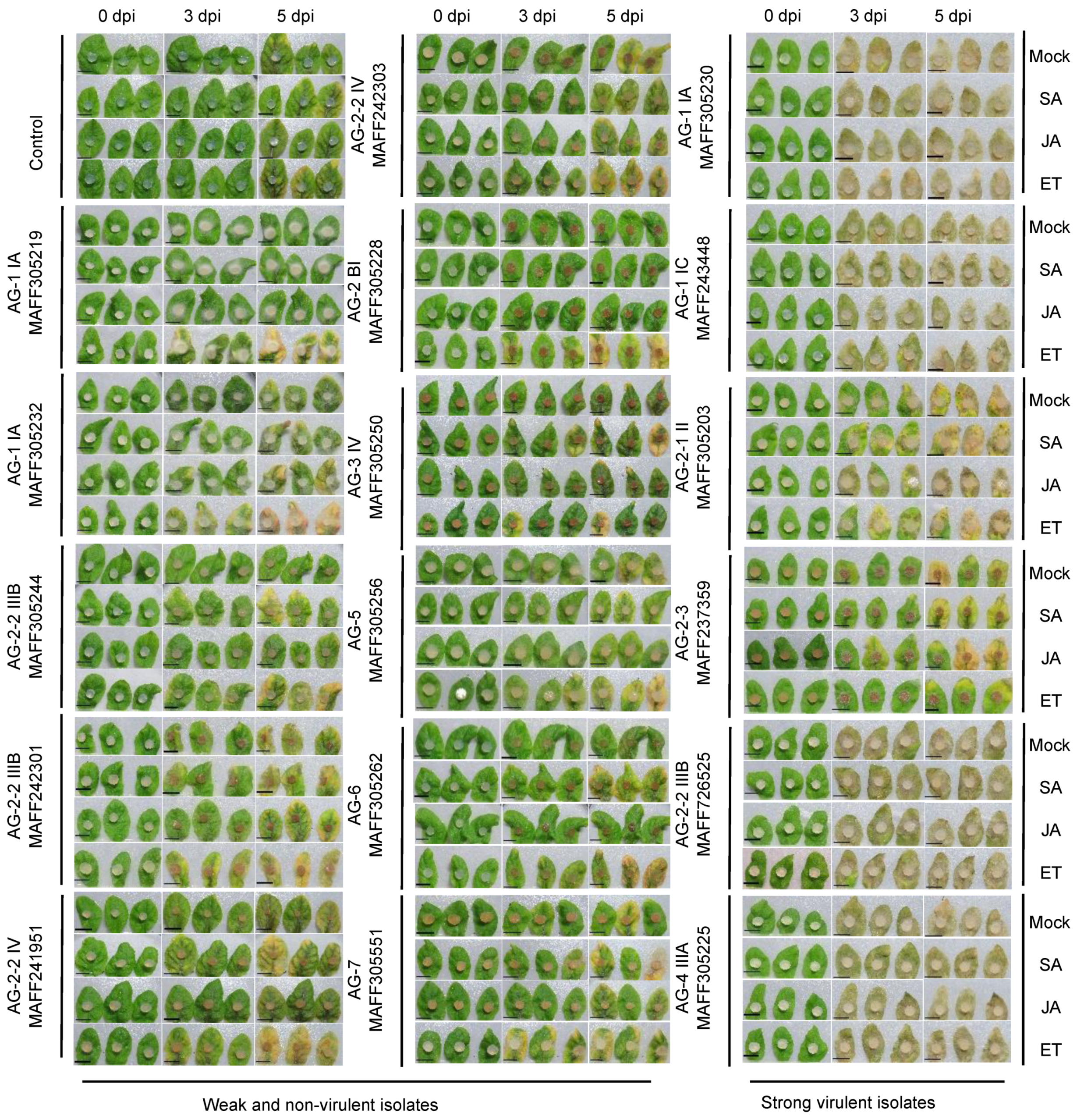 Life 12 00076 g003 550