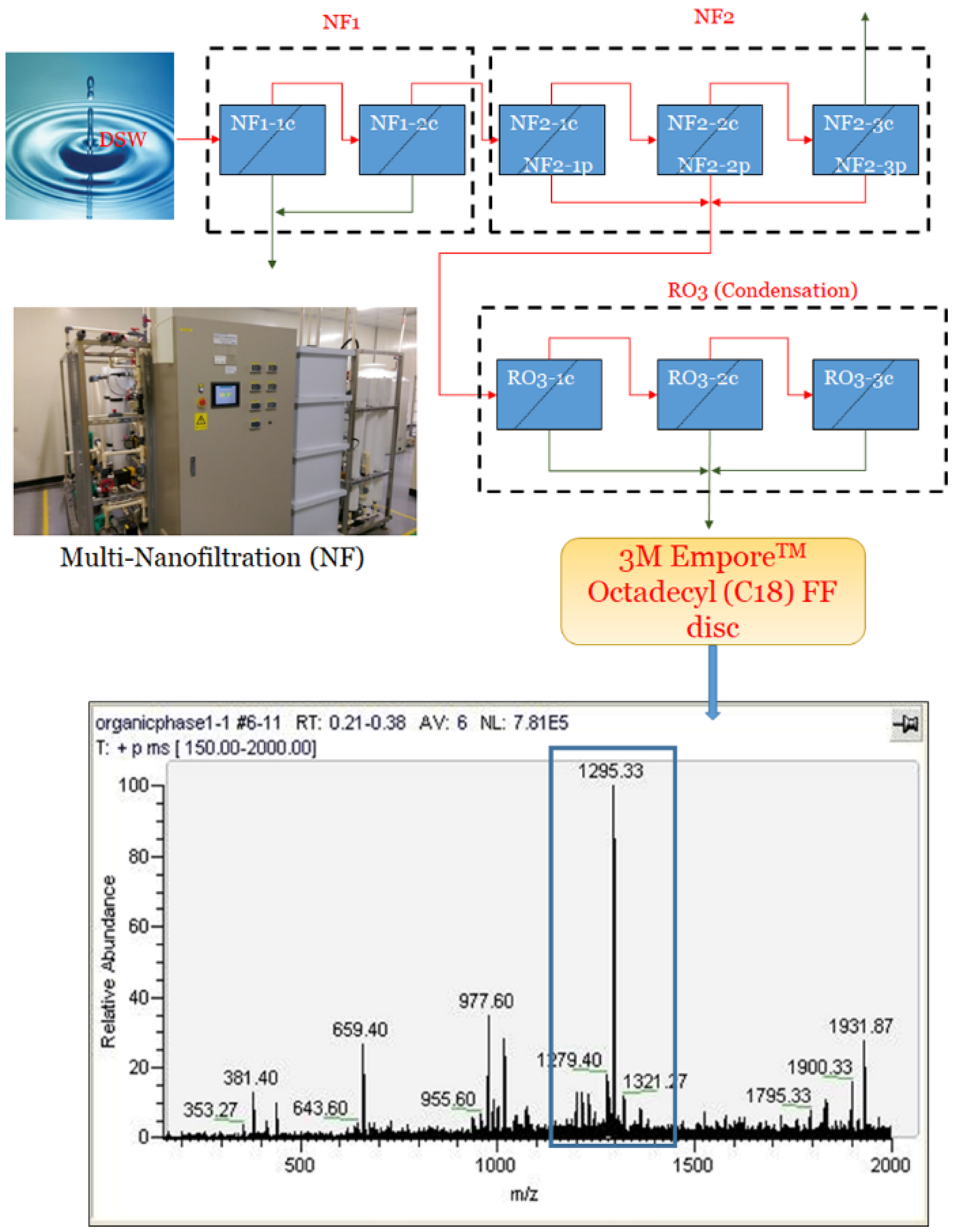 Life 12 00082 g001 Life 12 00082 g001