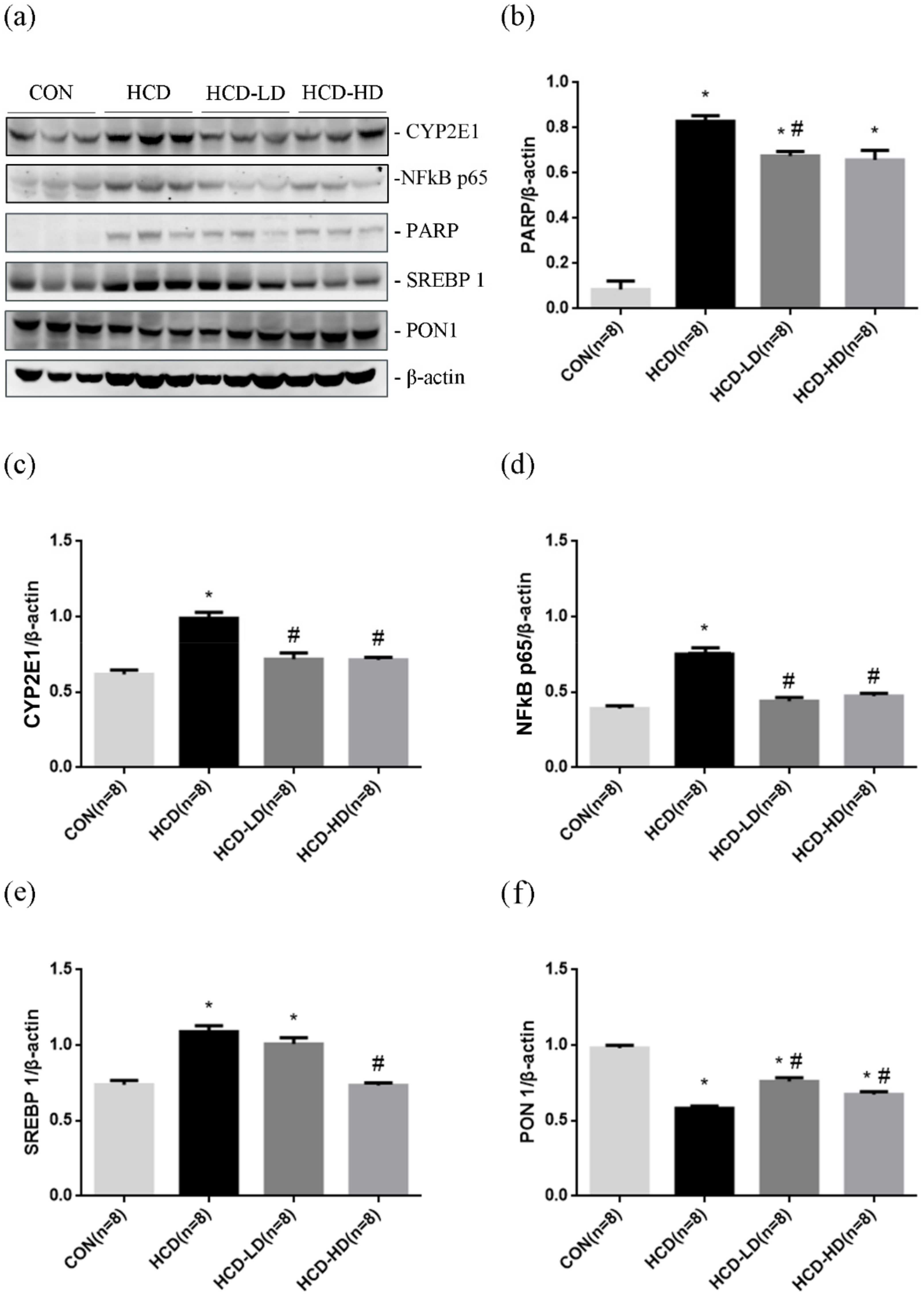 Life 12 00082 g008 Life 12 00082 g008