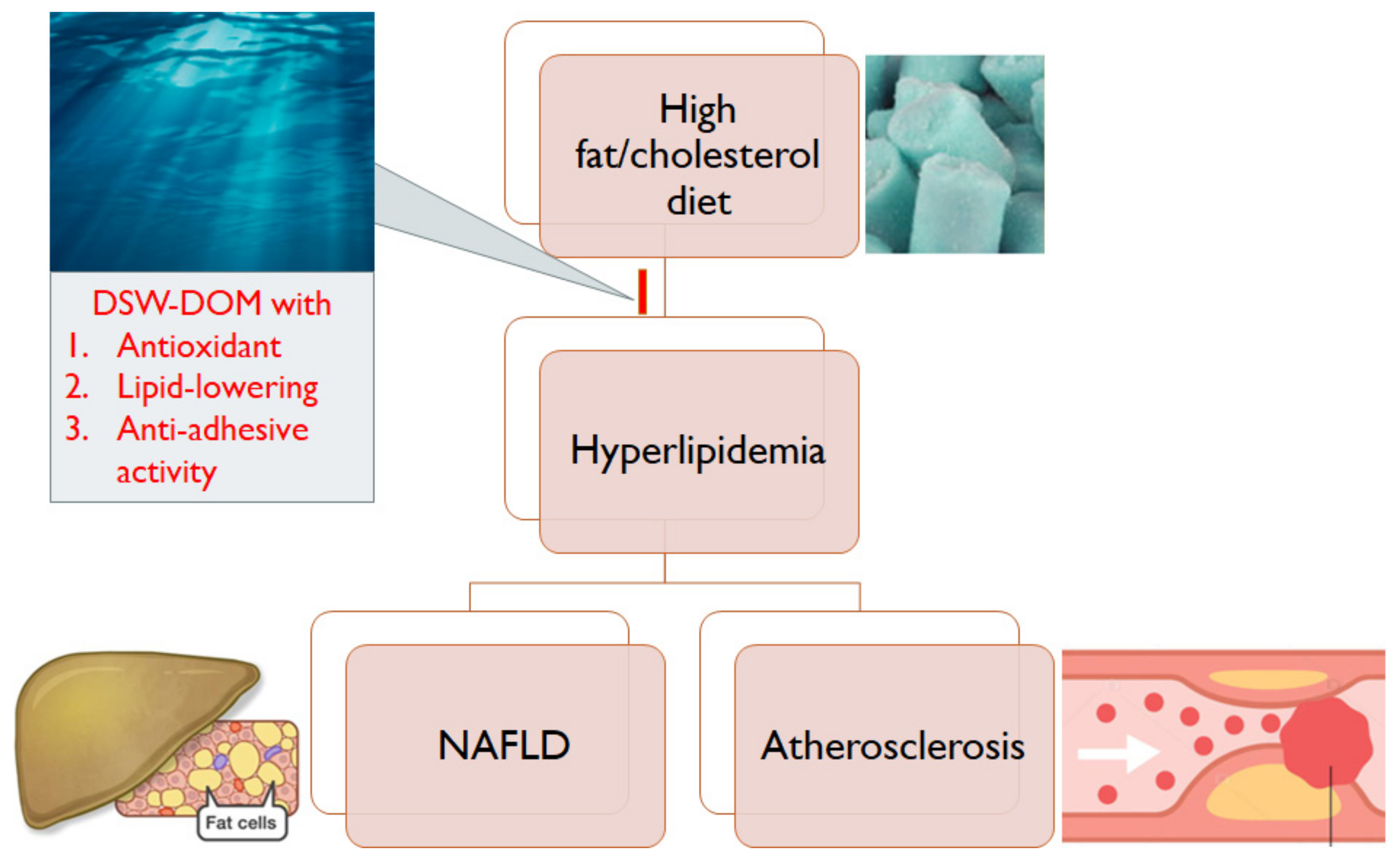 Life 12 00082 g009 Life 12 00082 g009
