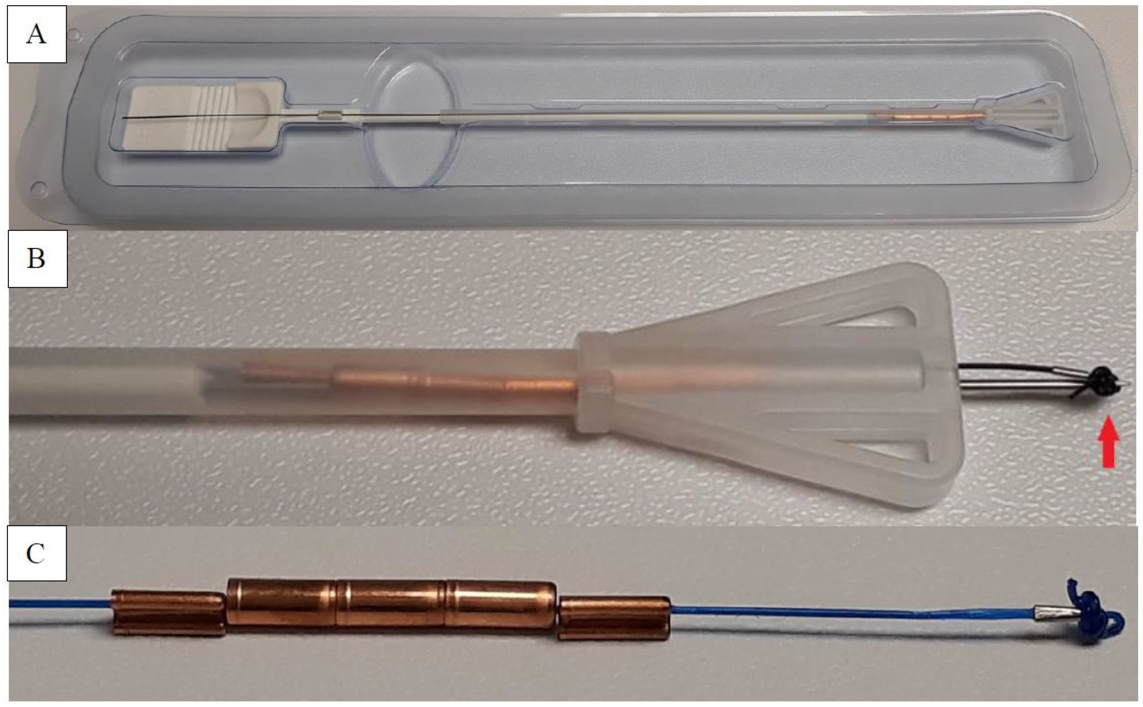 Life 12 00083 g001 550