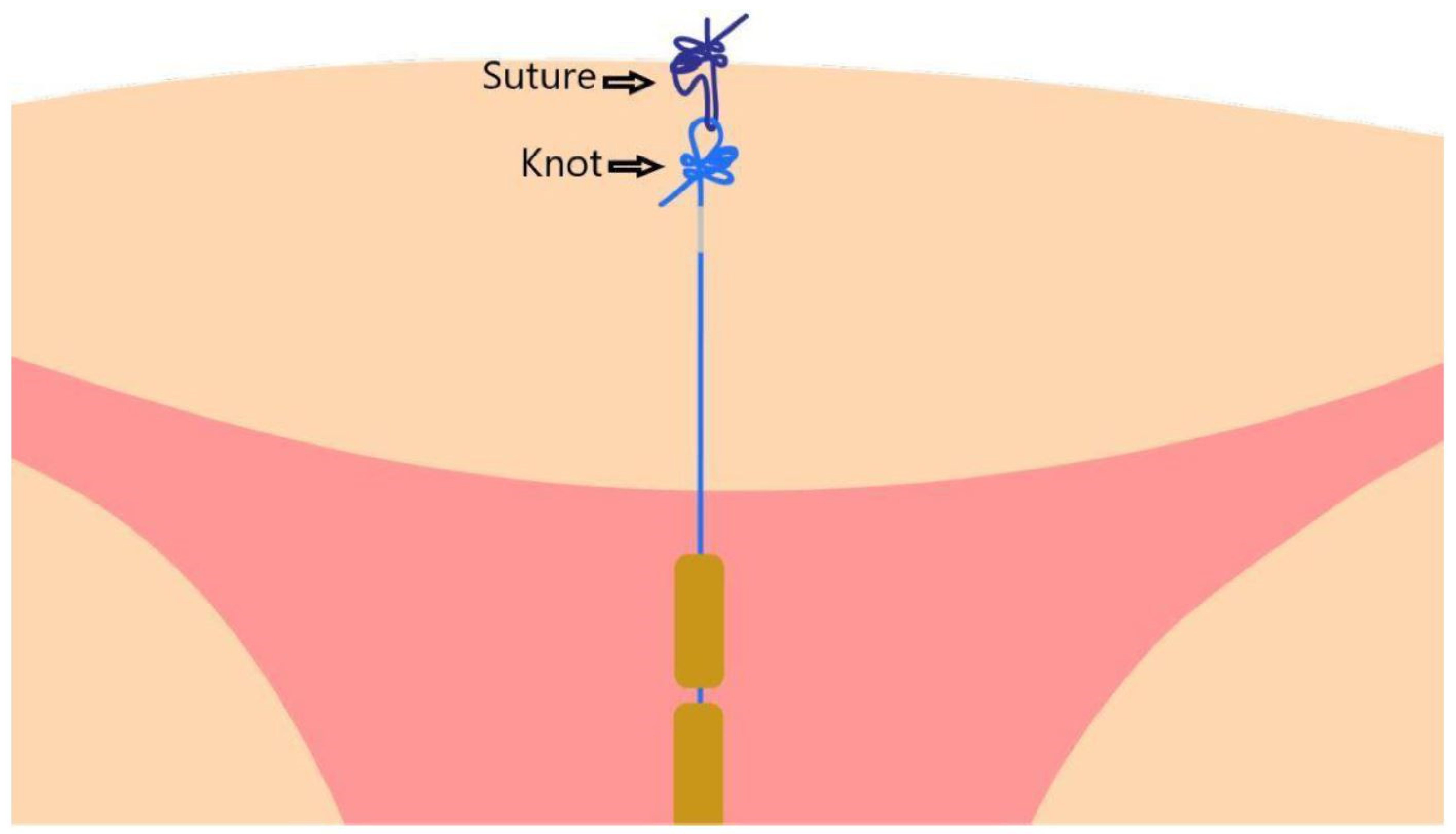 Life 12 00083 g003 550