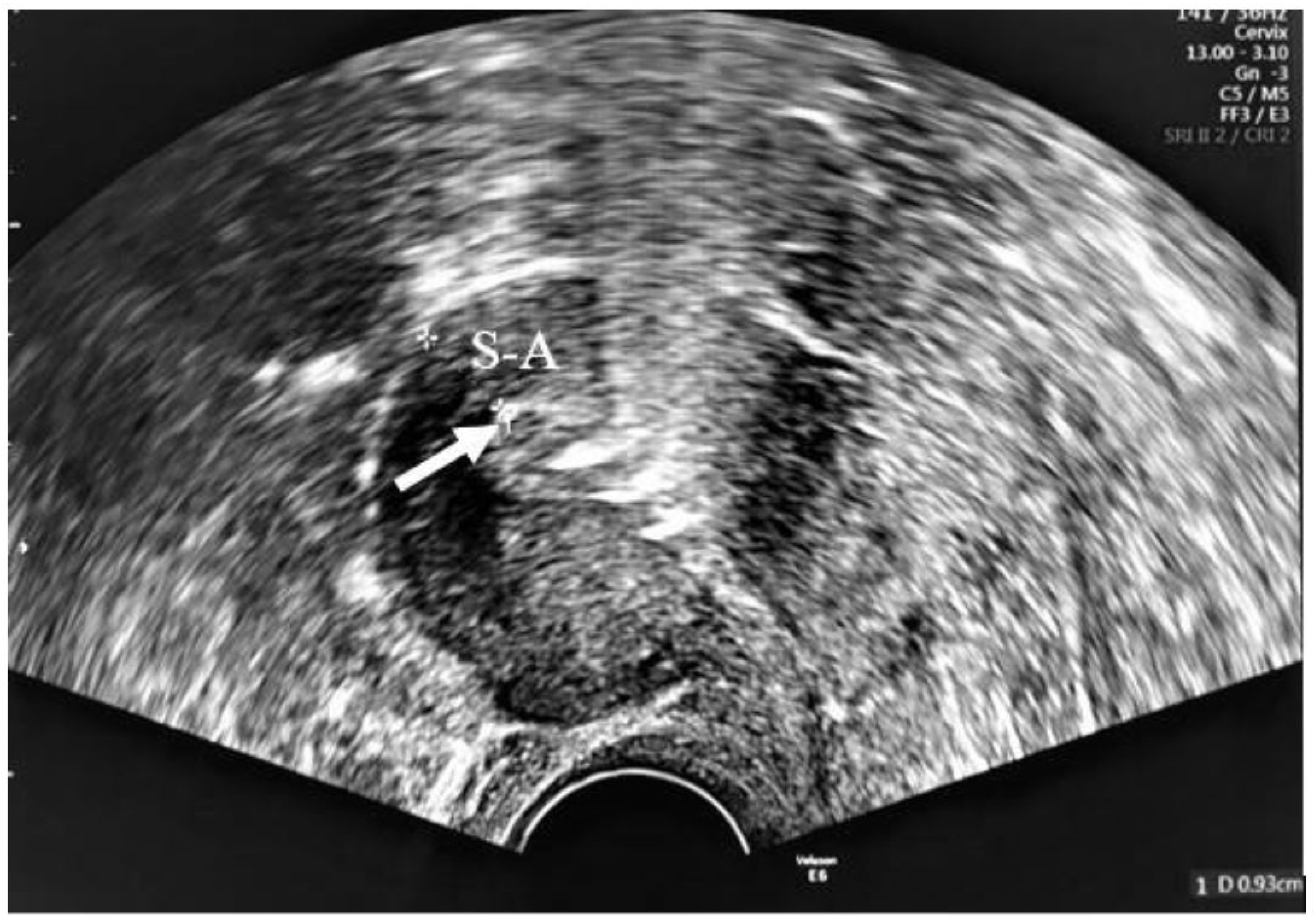 Life 12 00083 g004 550