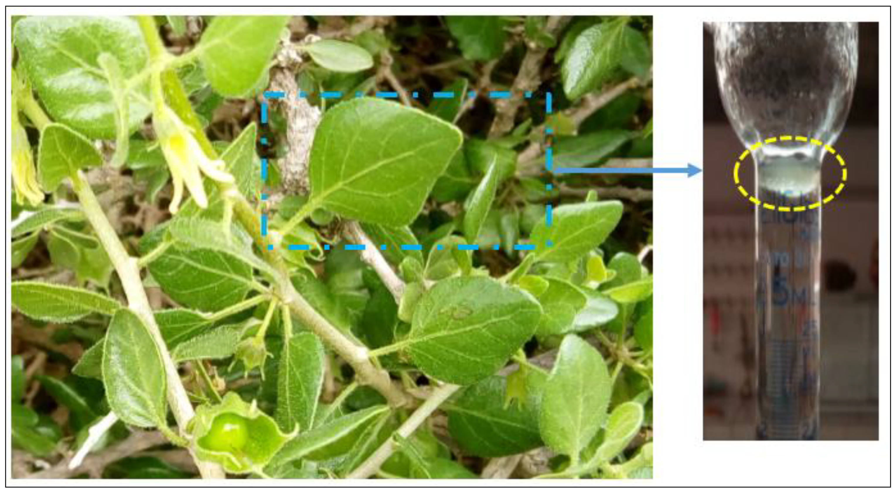 Life 12 00088 g001 Life 12 00088 g001