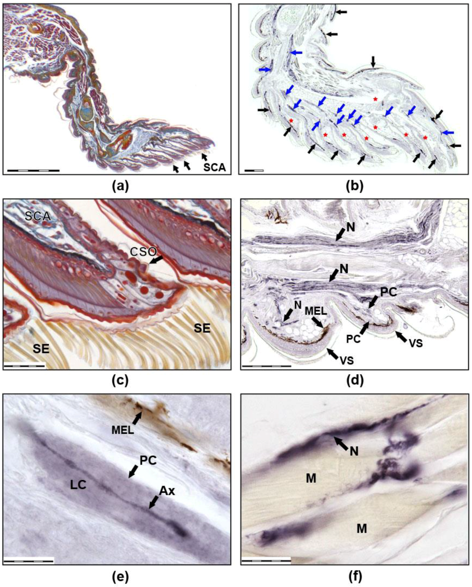 Life 12 00100 g001 Life 12 00100 g001