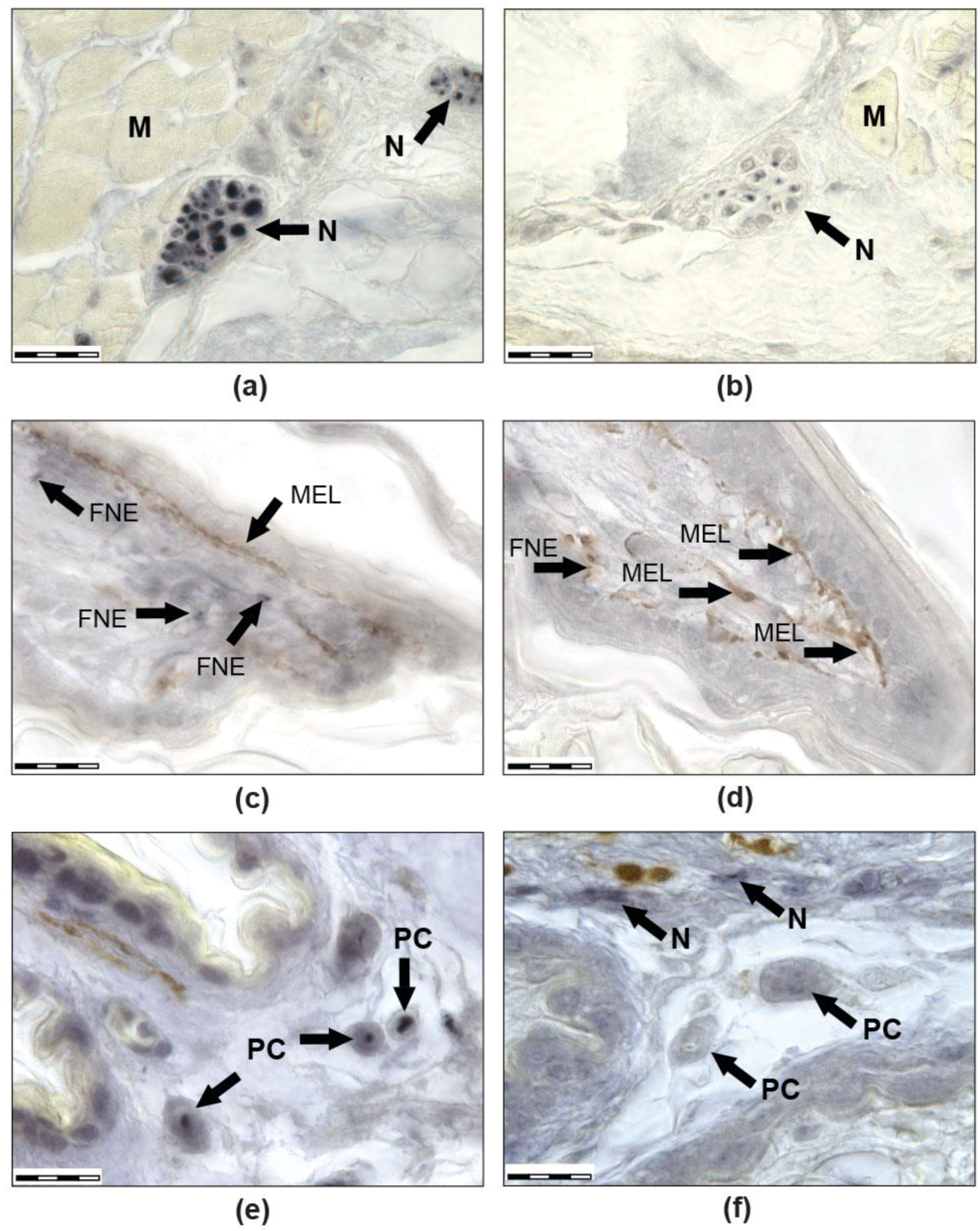 Life 12 00100 g002 Life 12 00100 g002