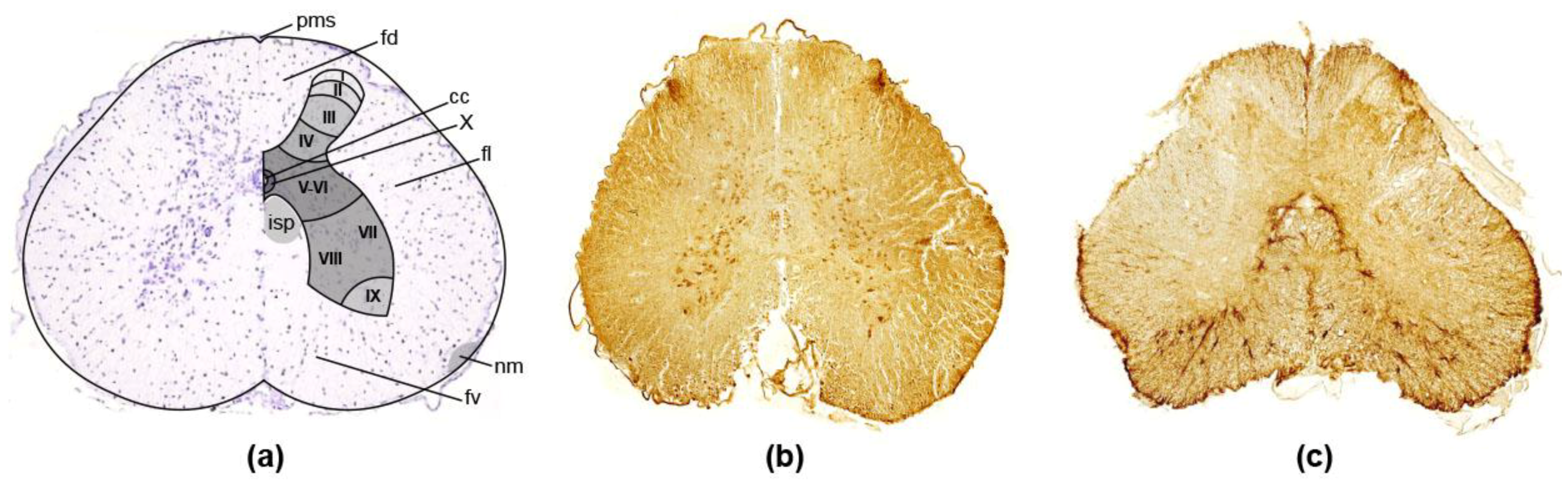 Life 12 00100 g003 Life 12 00100 g003