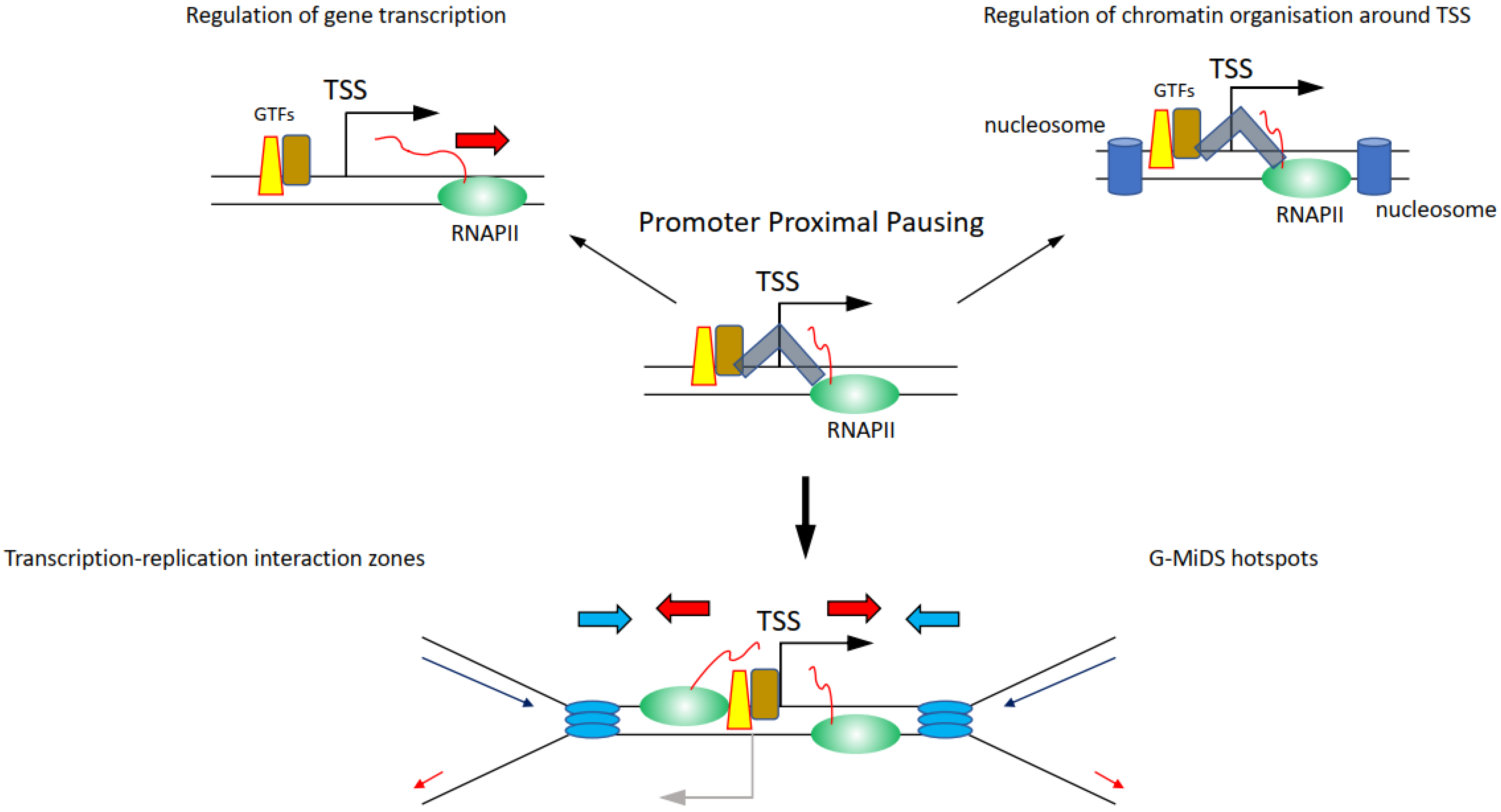 Life 12 00108 g004 Life 12 00108 g004