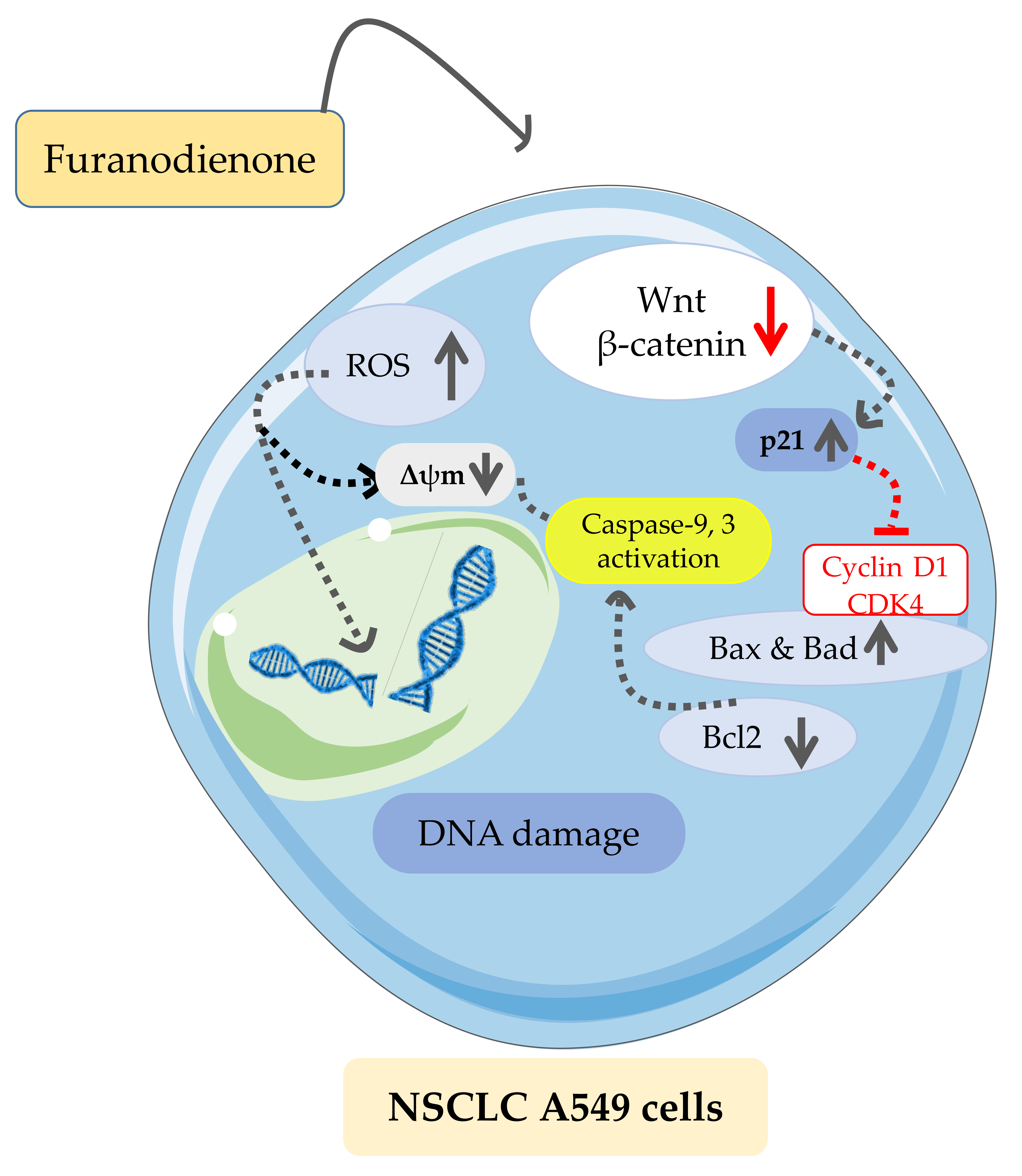 Life 12 00114 sch002