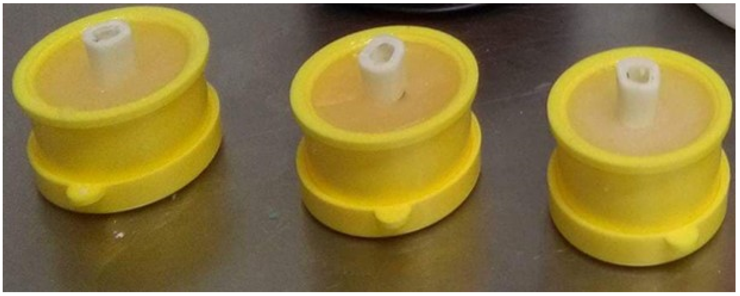 Life 12 00129 g002 Life 12 00129 g002