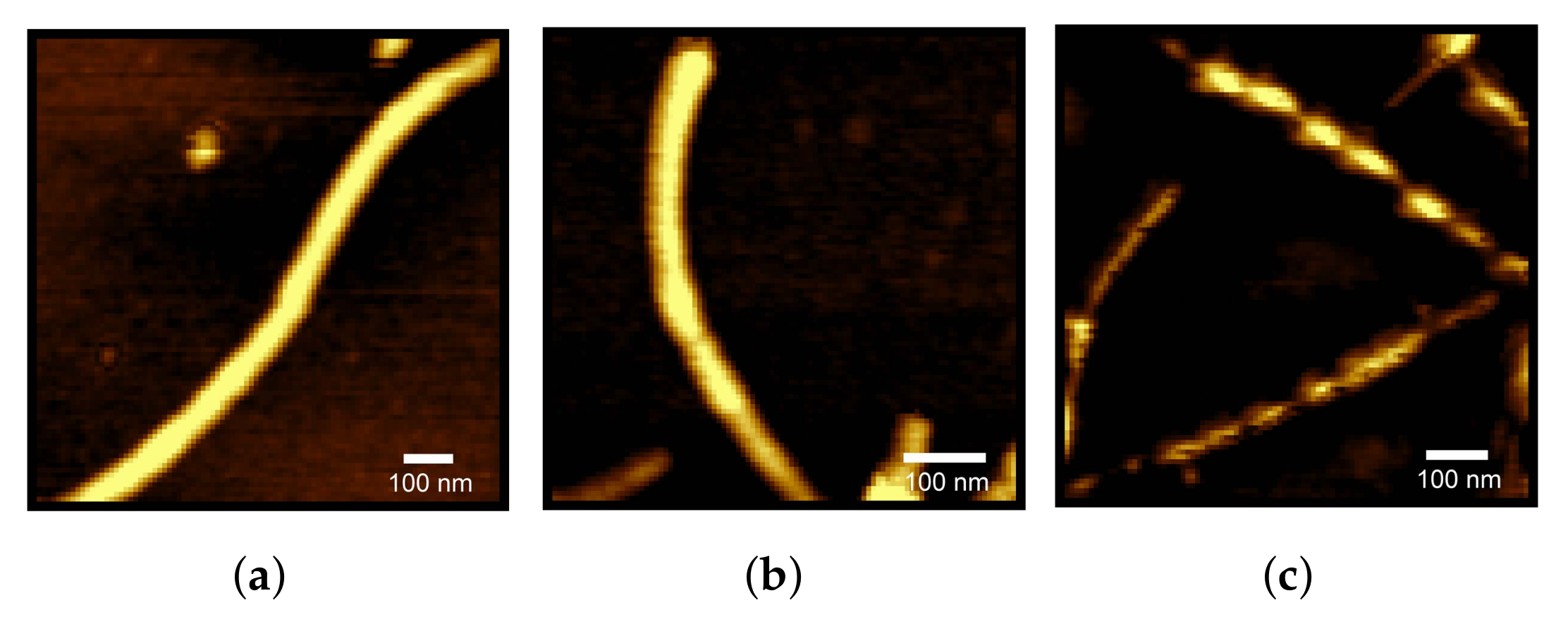 Life 12 00133 g006 Life 12 00133 g006