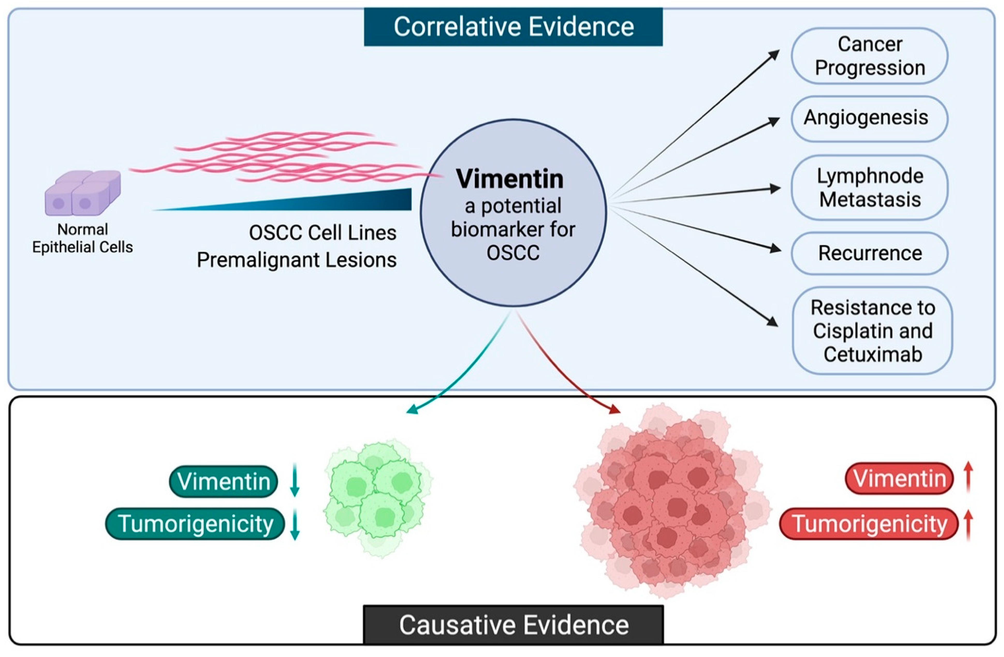 Life 12 00150 g001 Life 12 00150 g001