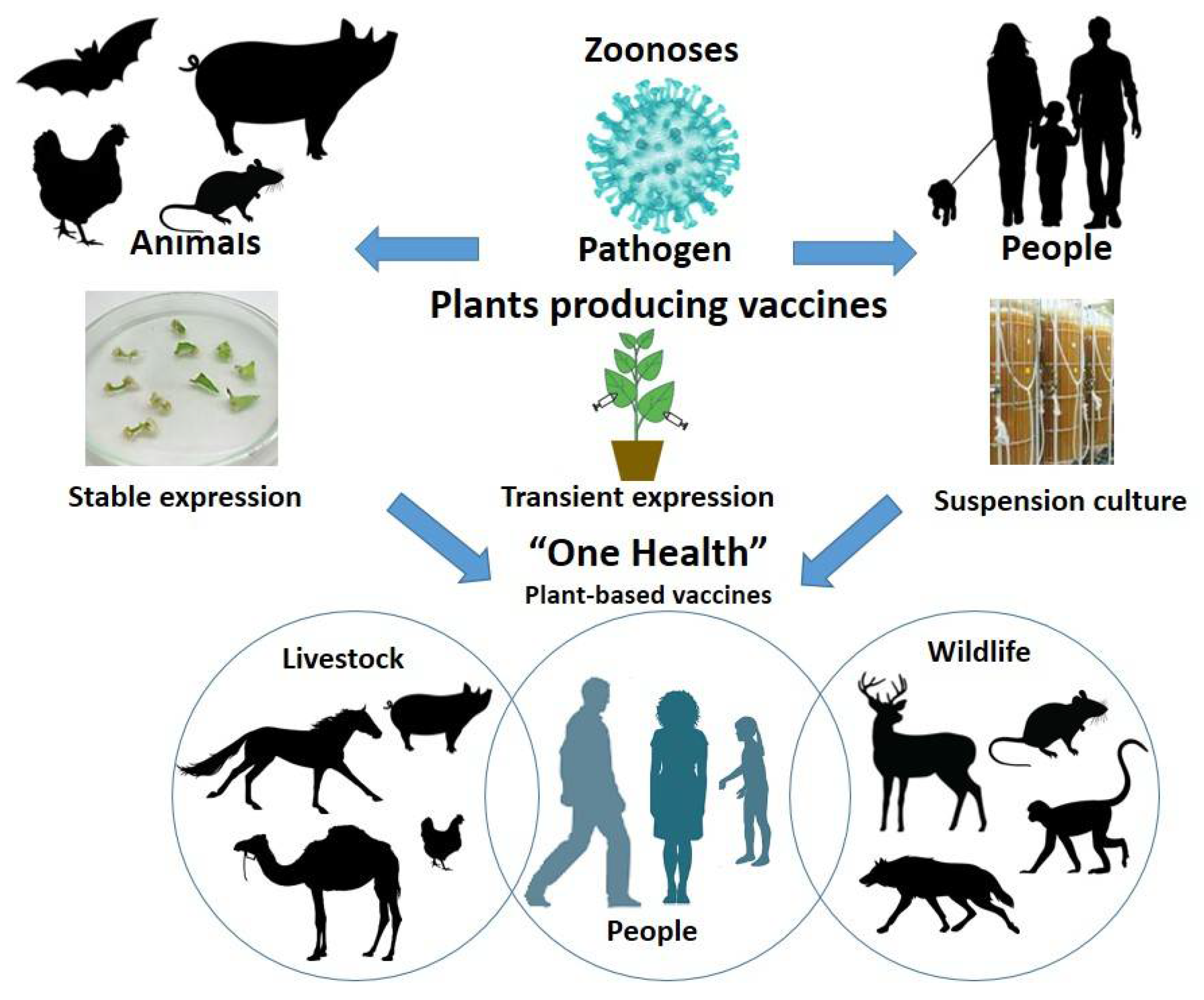 Life 12 00156 g001 550