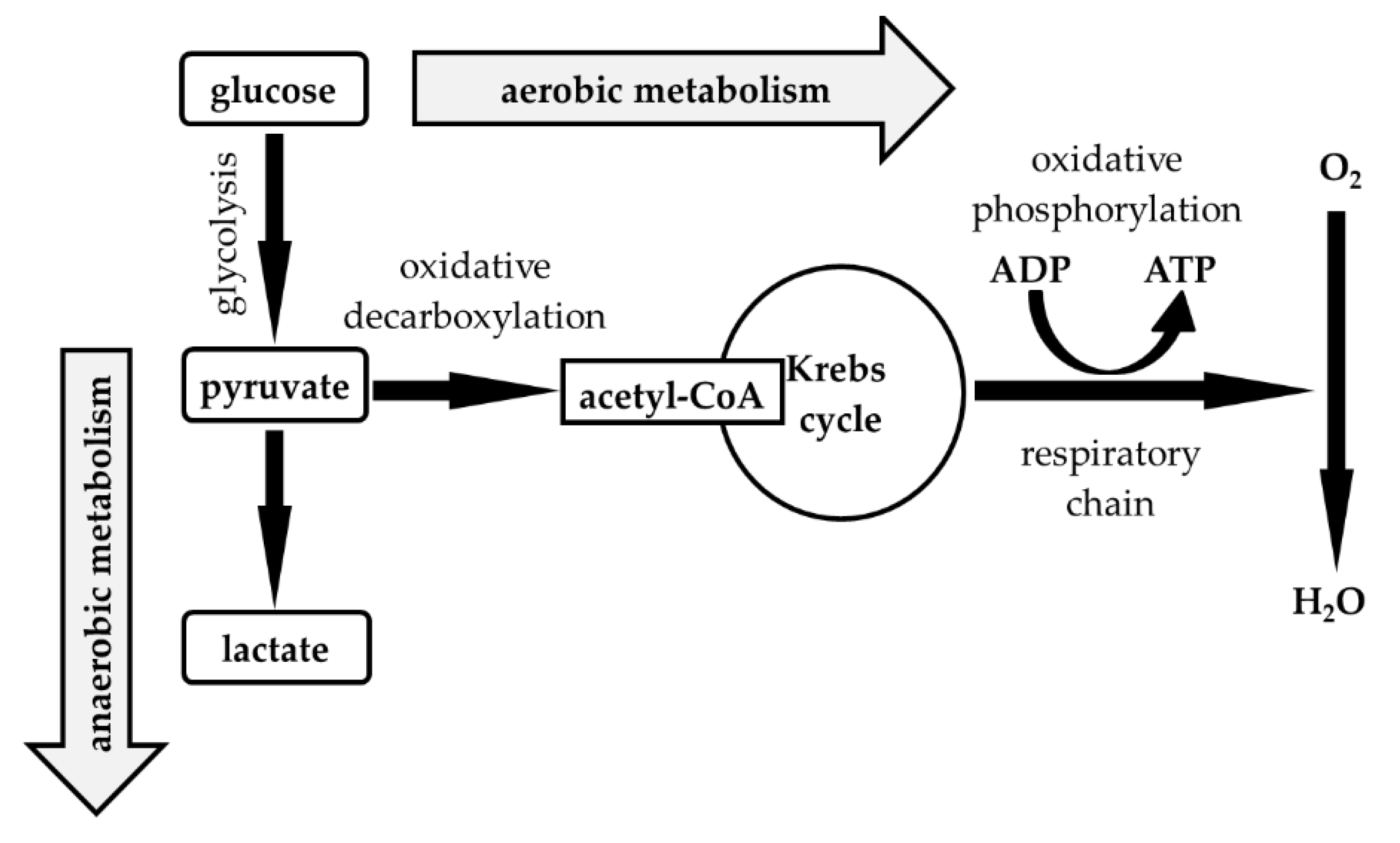 Life 12 00160 g001 550