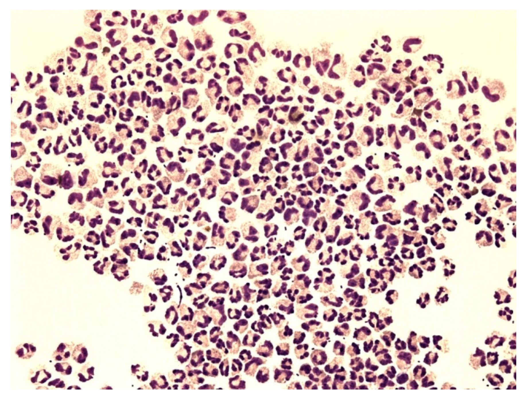 Life 12 00160 g007 550