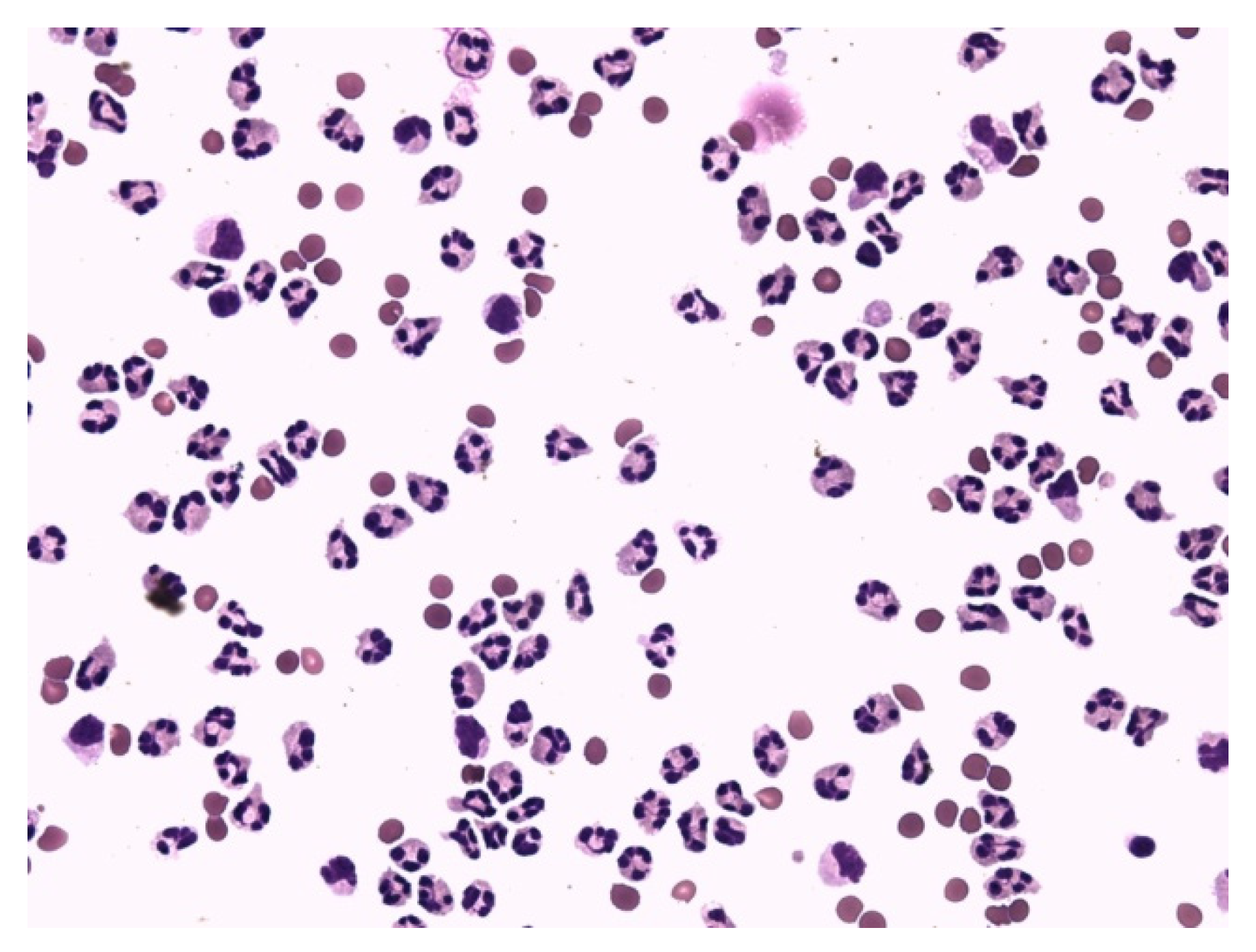 Life 12 00160 g008 550