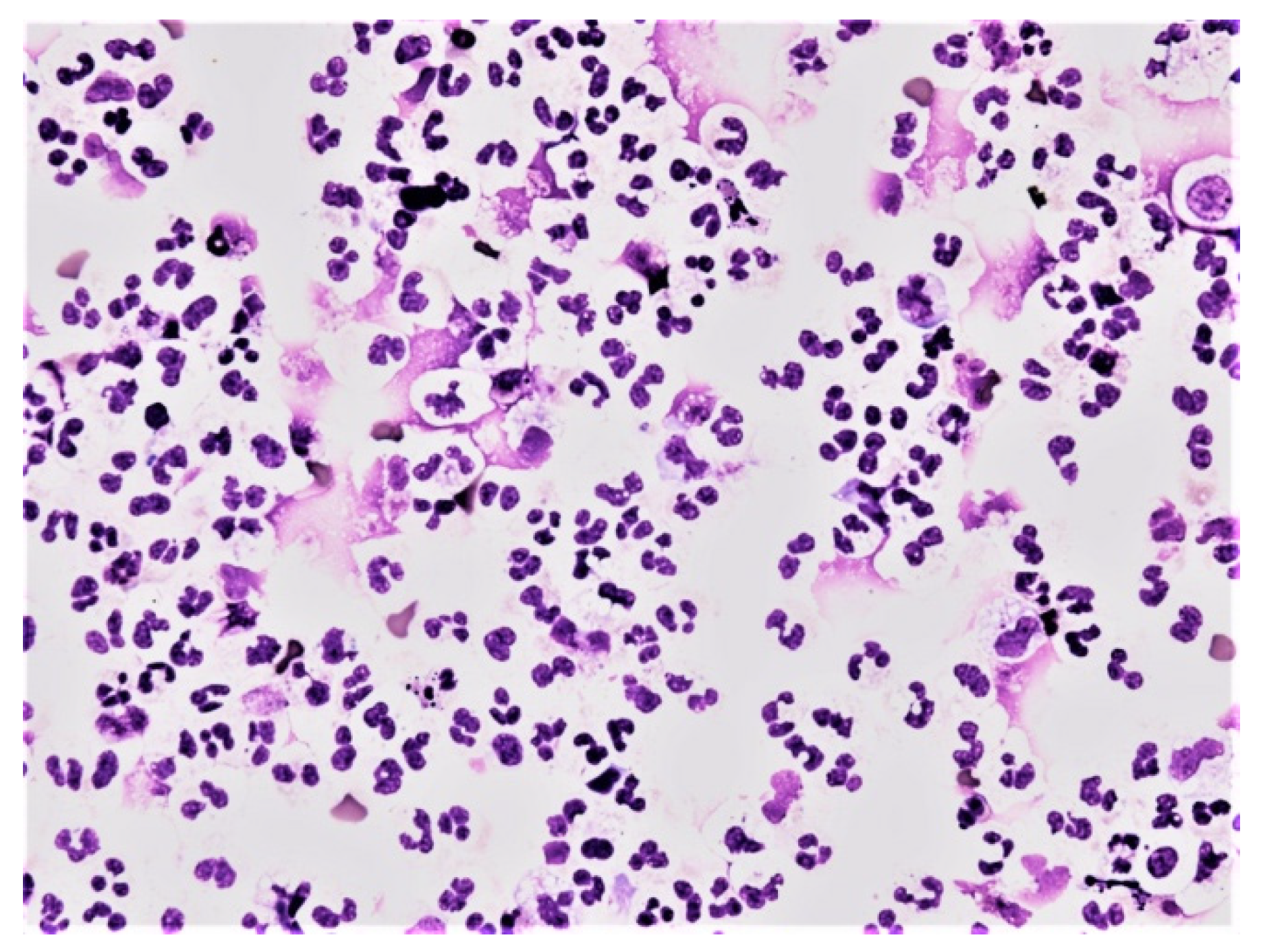 Life 12 00160 g009 550