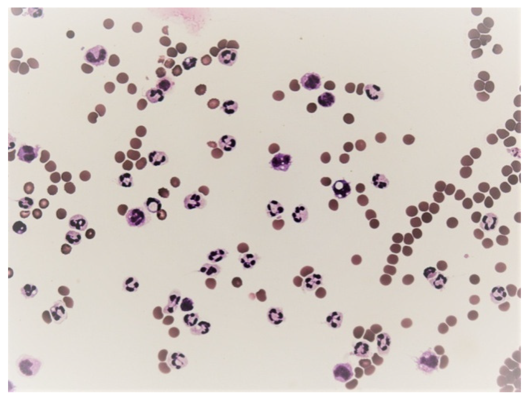 Life 12 00160 g010 550