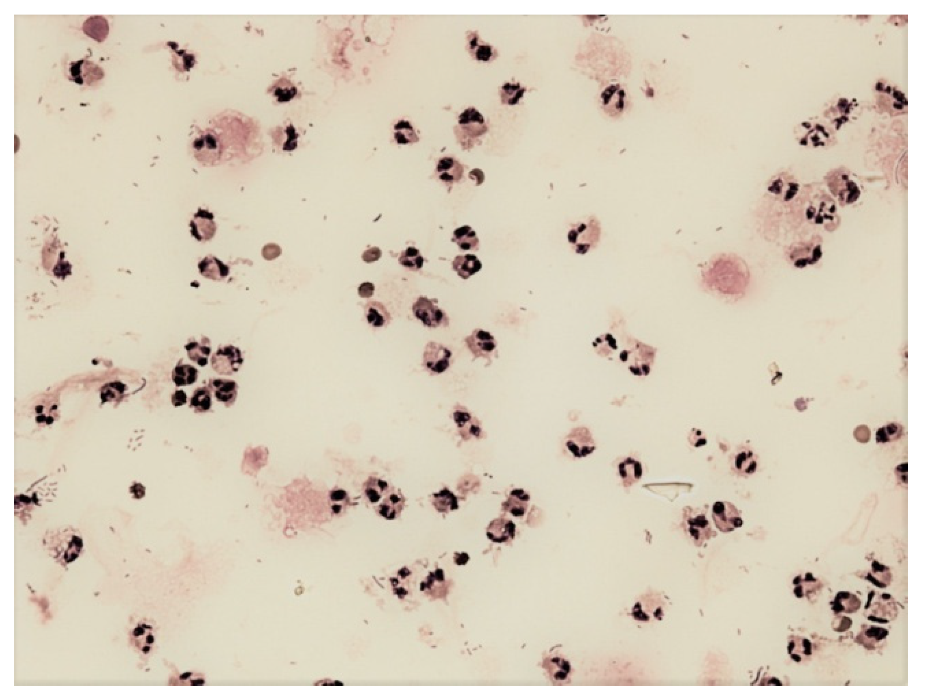 Life 12 00160 g011 550