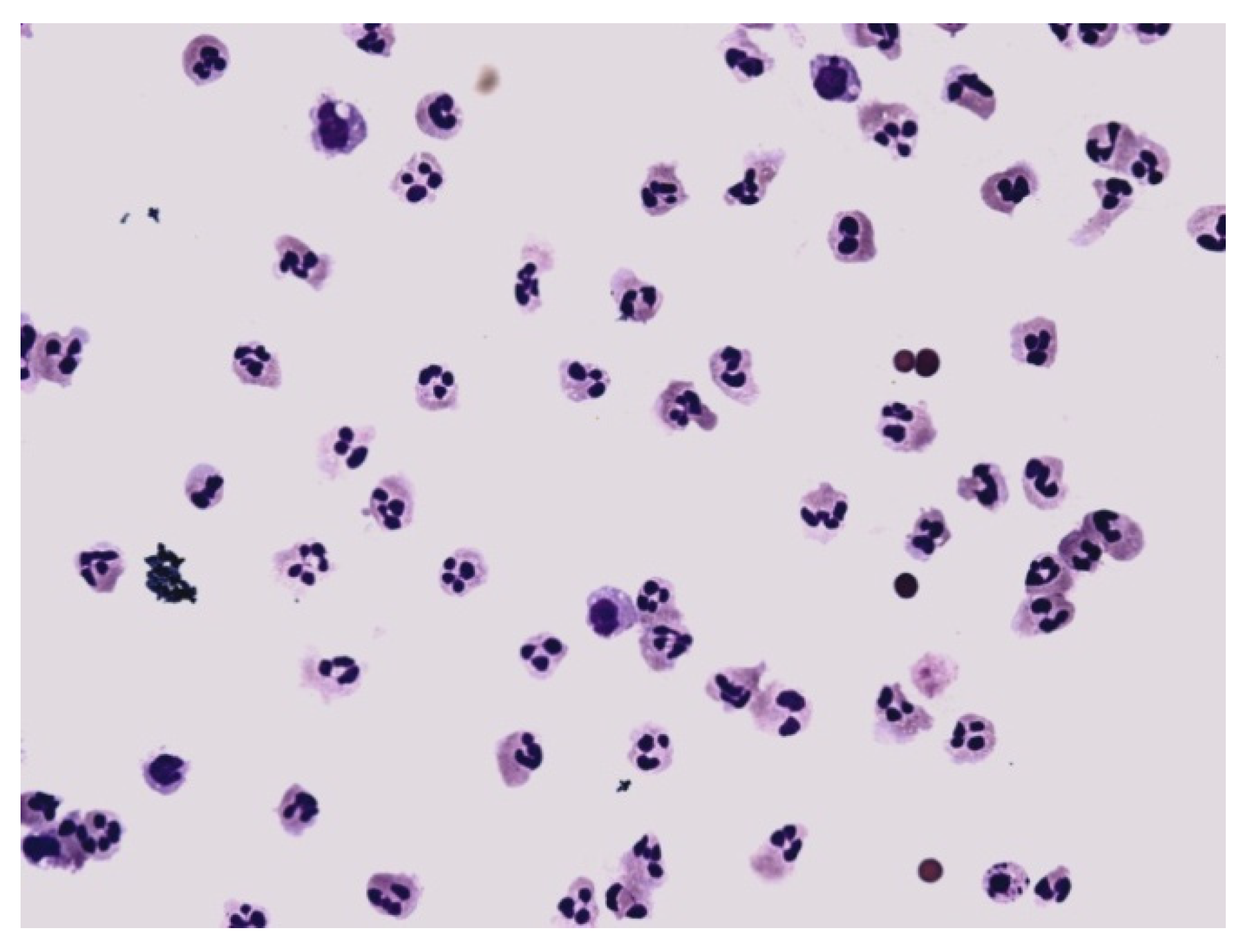 Life 12 00160 g012 550