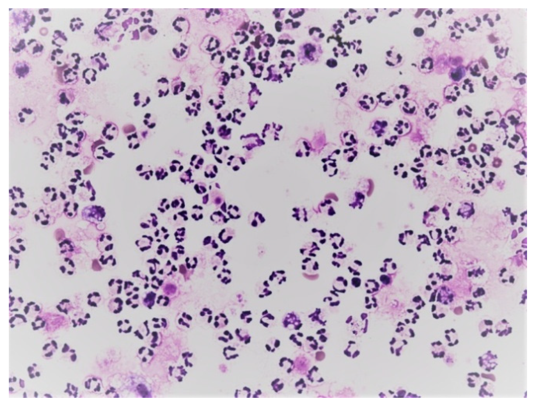 Life 12 00160 g013 550