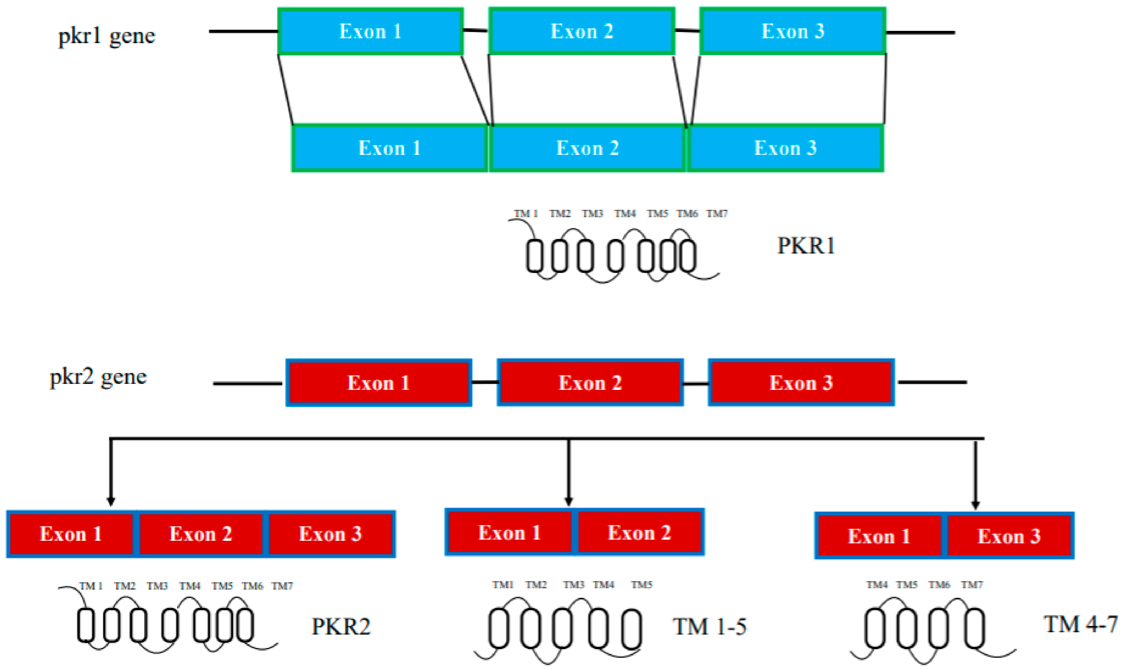 Life 12 00172 g001 Life 12 00172 g001