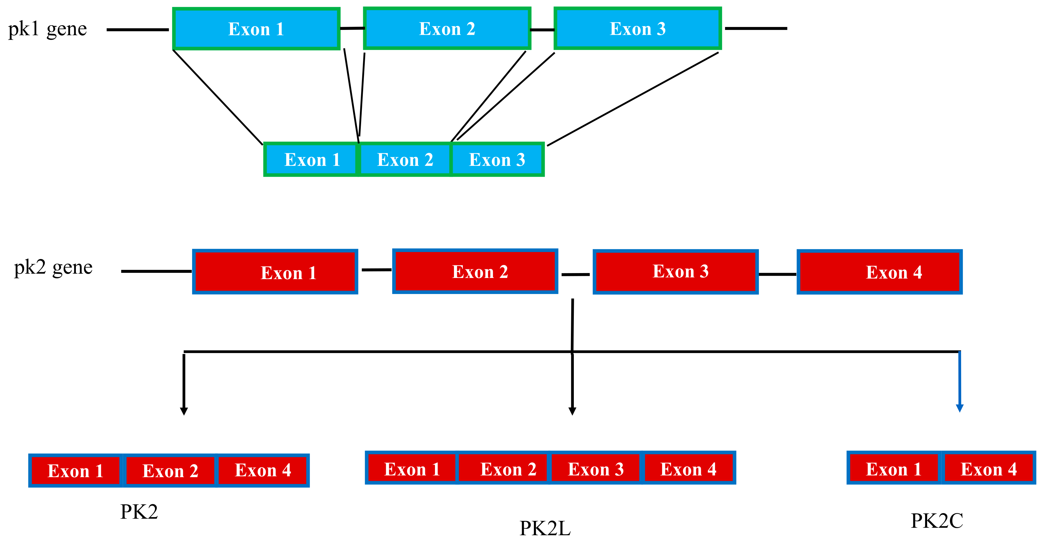 Life 12 00172 g002 Life 12 00172 g002