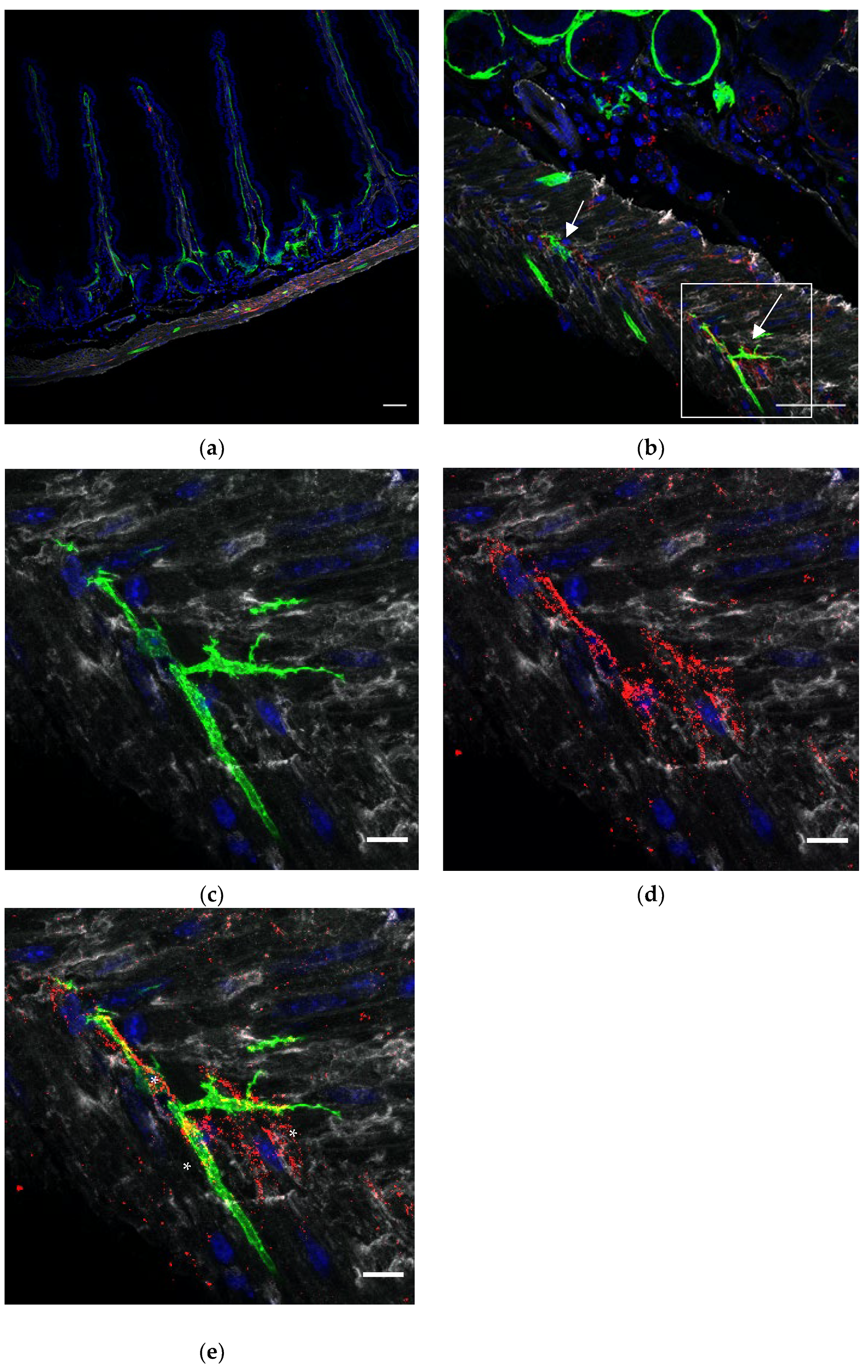 Life 12 00176 g002 550